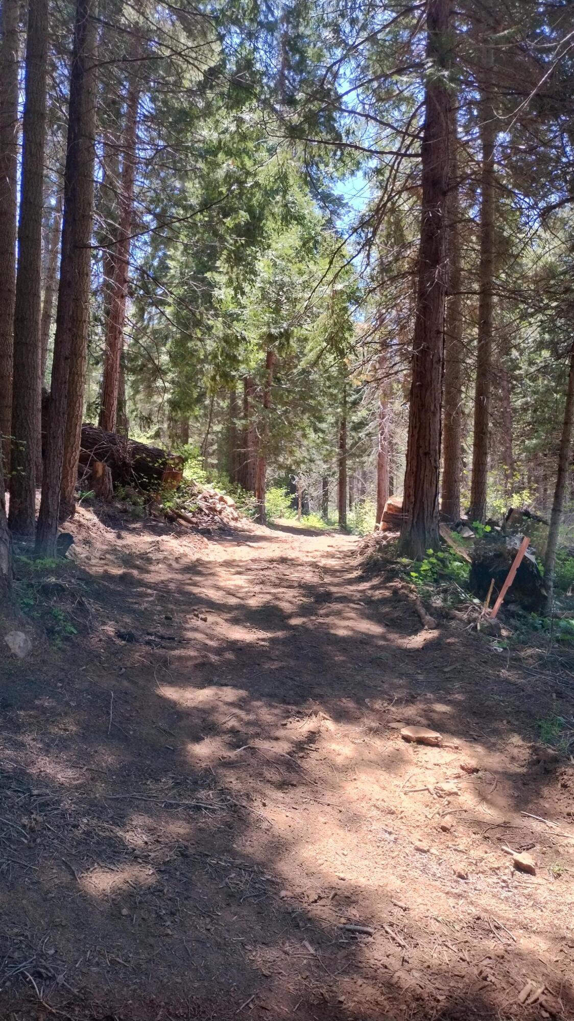 54706 Cedar Dr, Sequoia Crest, CA 93265