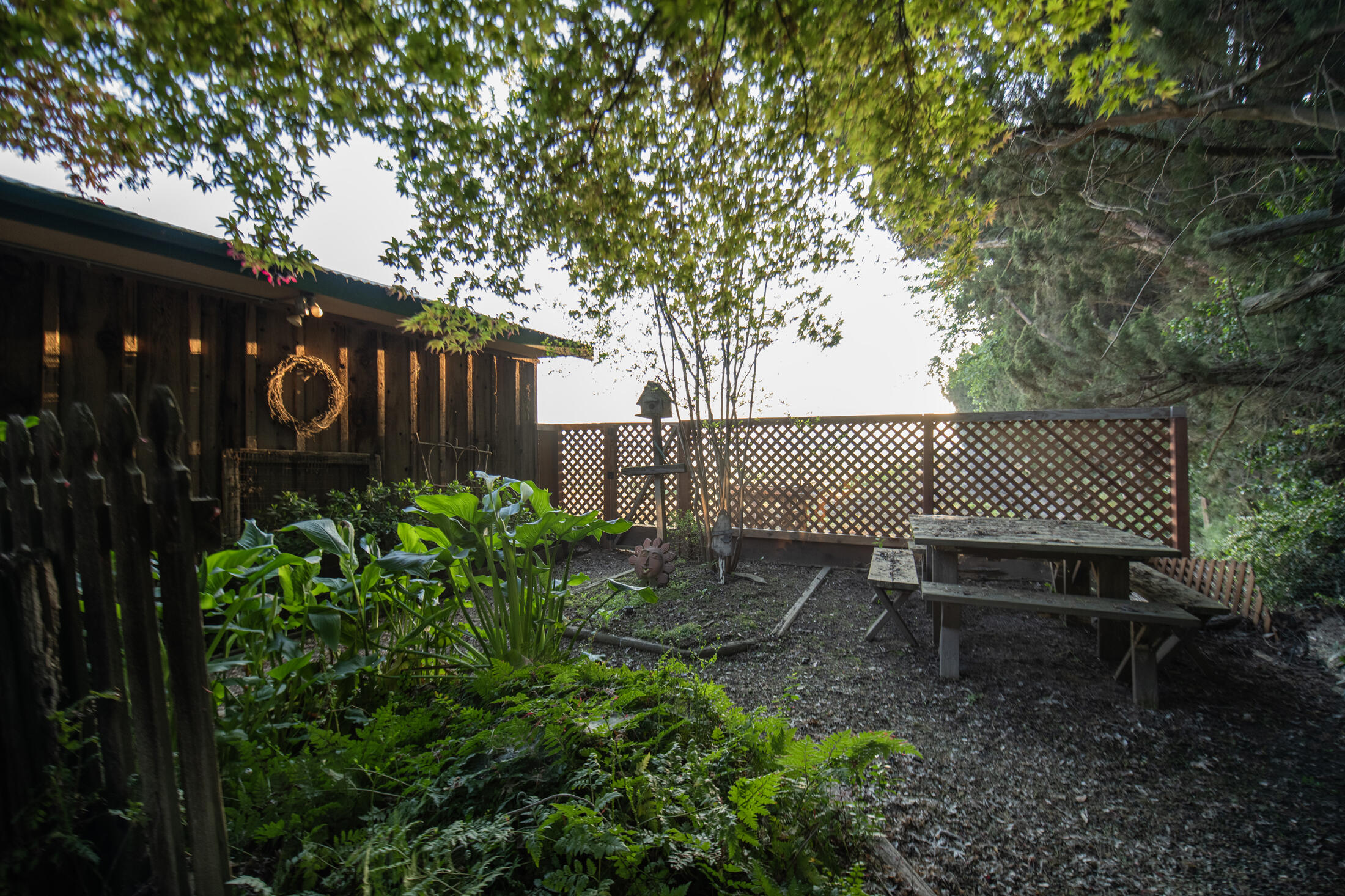 29934 Road 152, Visalia, CA 93292