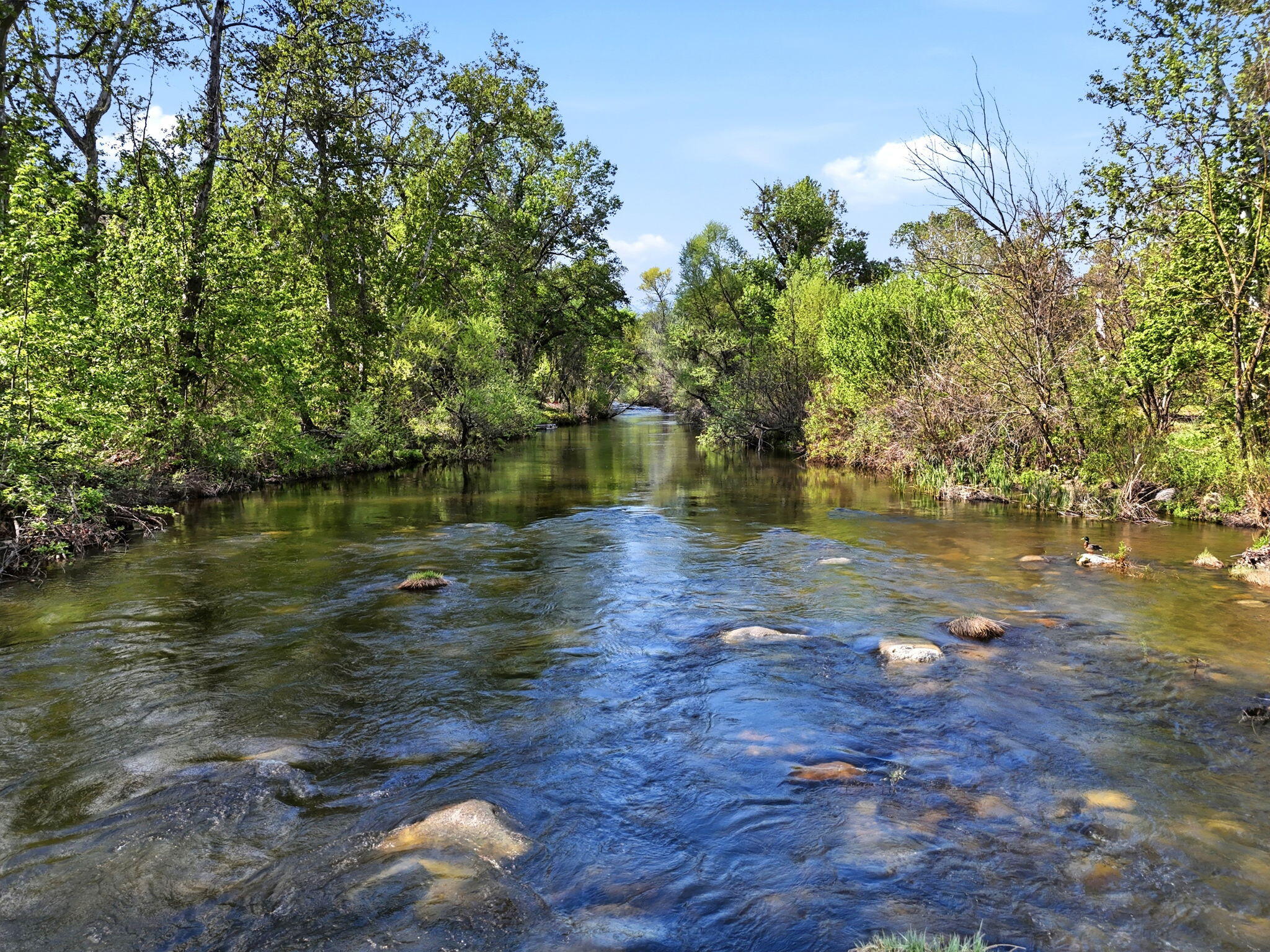 0 N Kaweah River Dr, Three Rivers, CA 93271