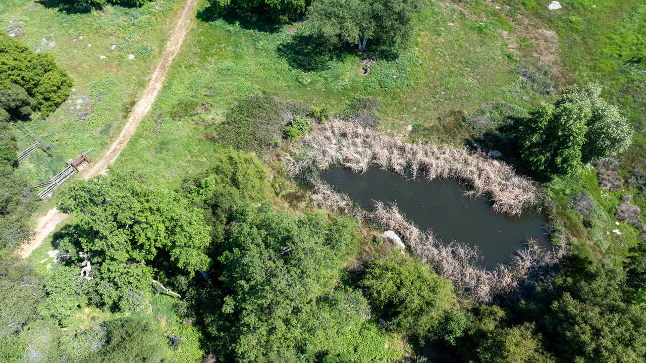 43666 Balch Park Rd, Springville, CA 93265