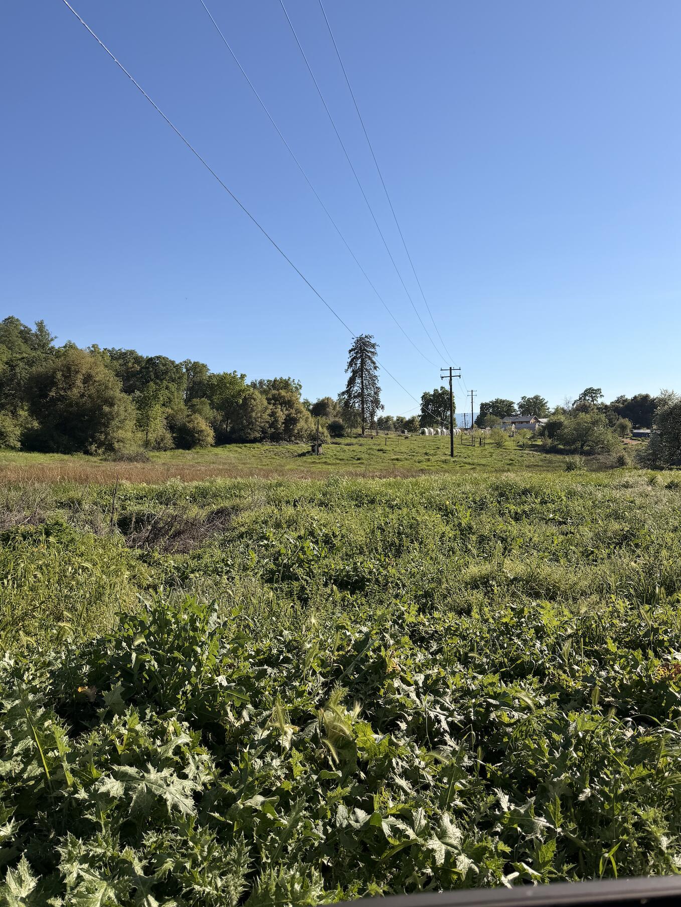 43666 Balch Park Rd, Springville, CA 93265