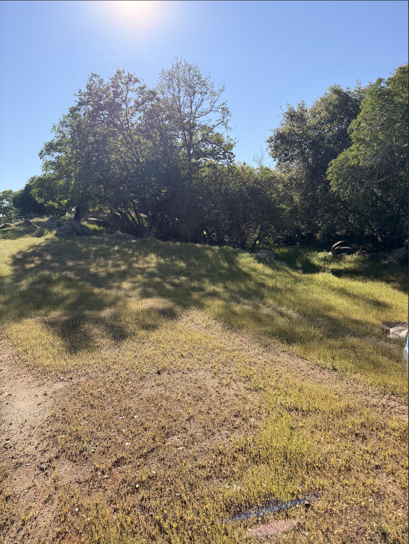 43666 Balch Park Rd, Springville, CA 93265