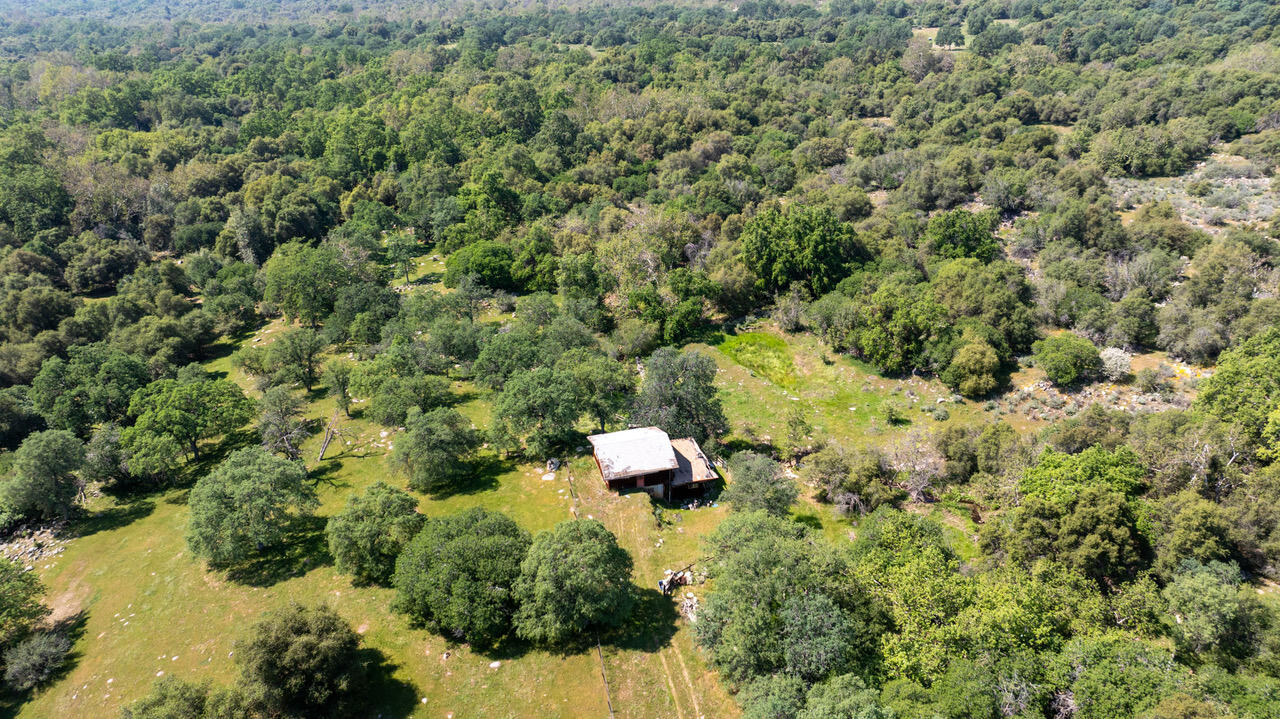 43666 Balch Park Rd, Springville, CA 93265