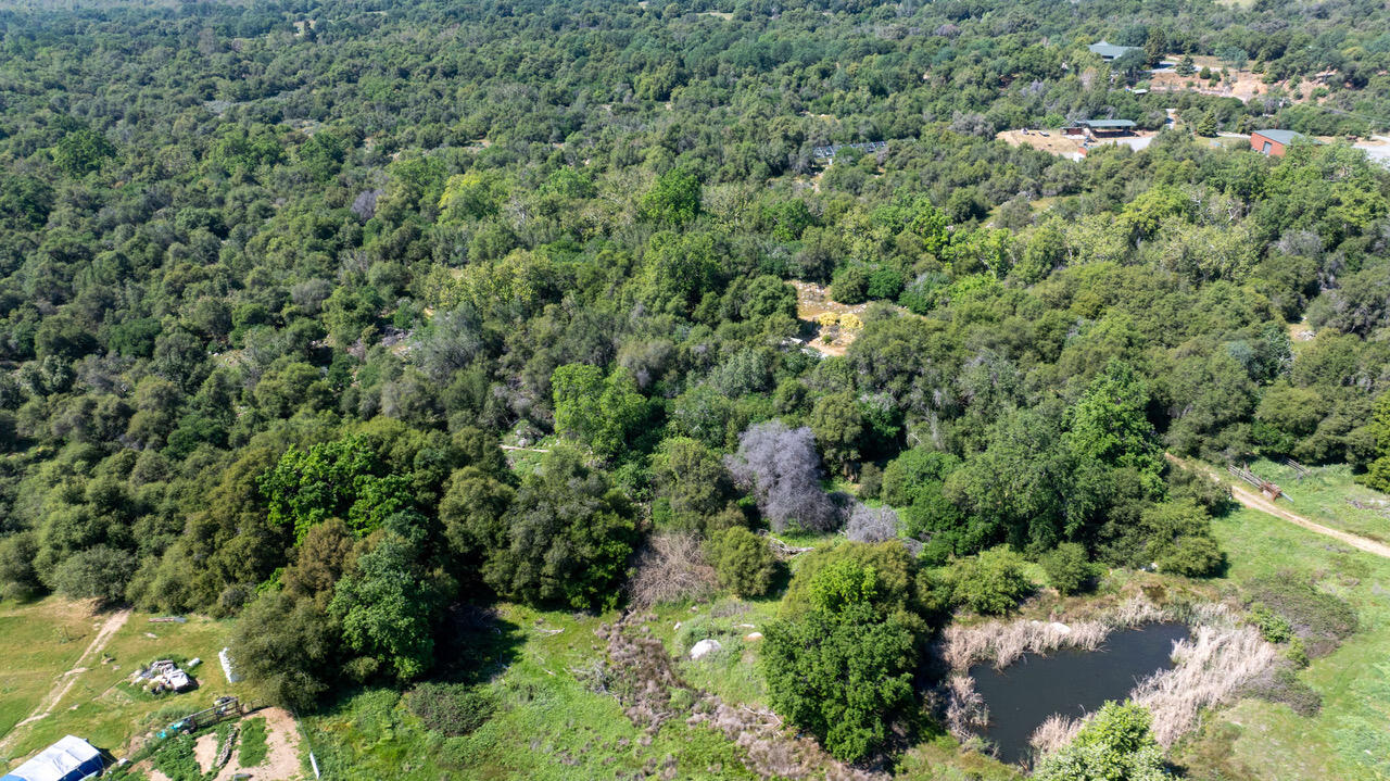 43666 Balch Park Rd, Springville, CA 93265