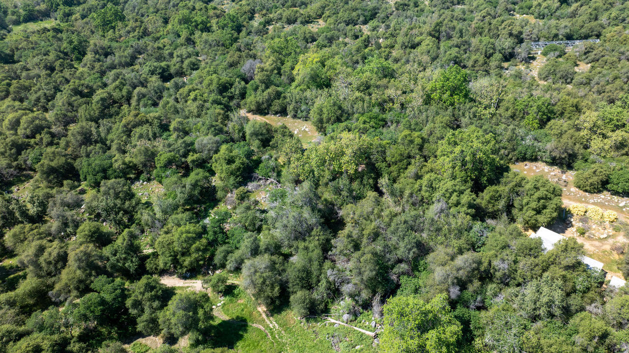 43666 Balch Park Rd, Springville, CA 93265