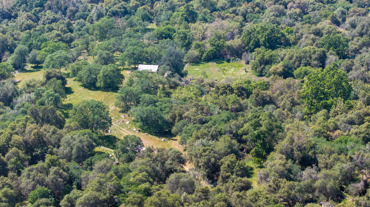 43666 Balch Park Rd, Springville, CA 93265