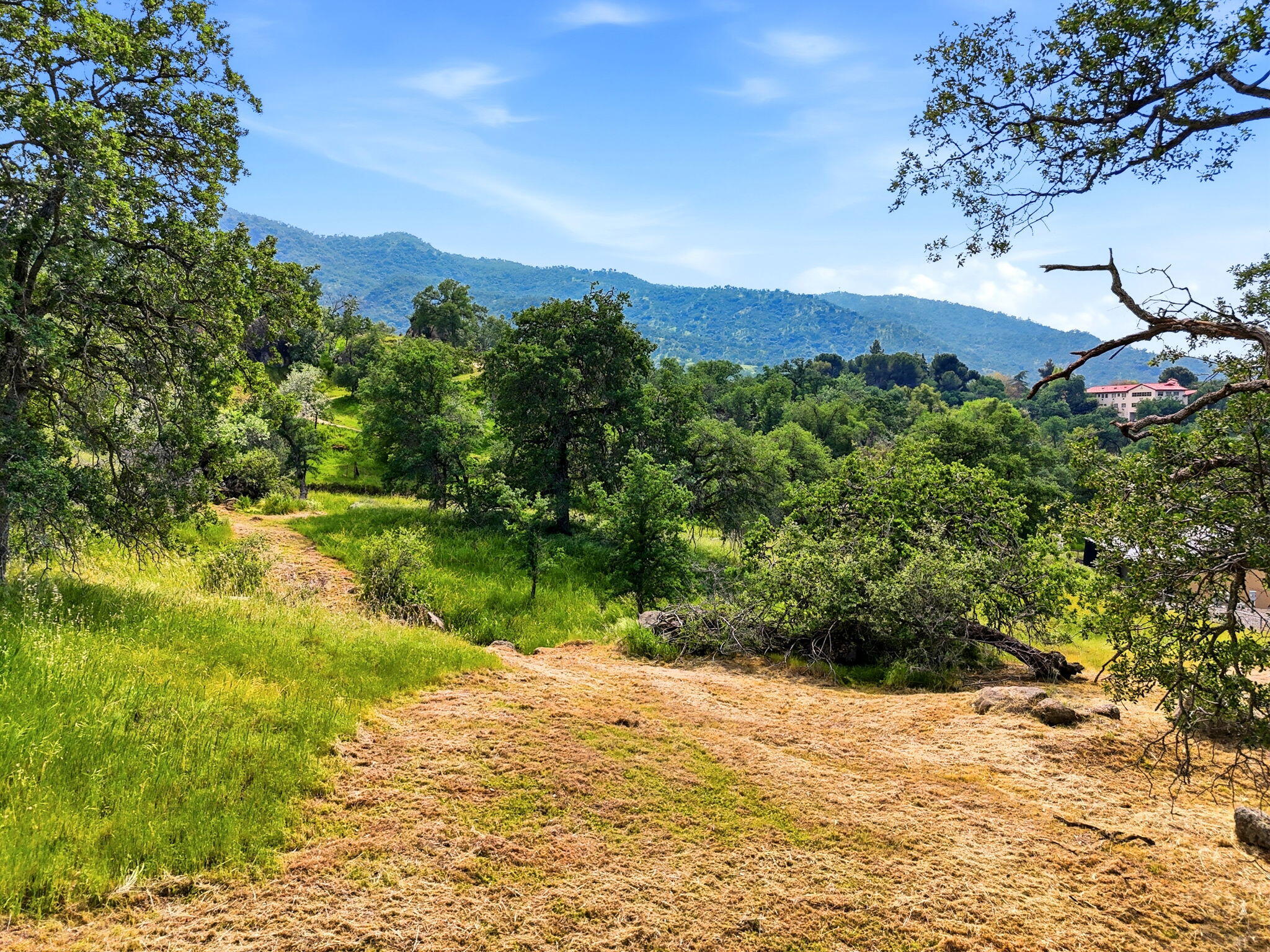 0 Noel Dr, Three Rivers, CA 93271