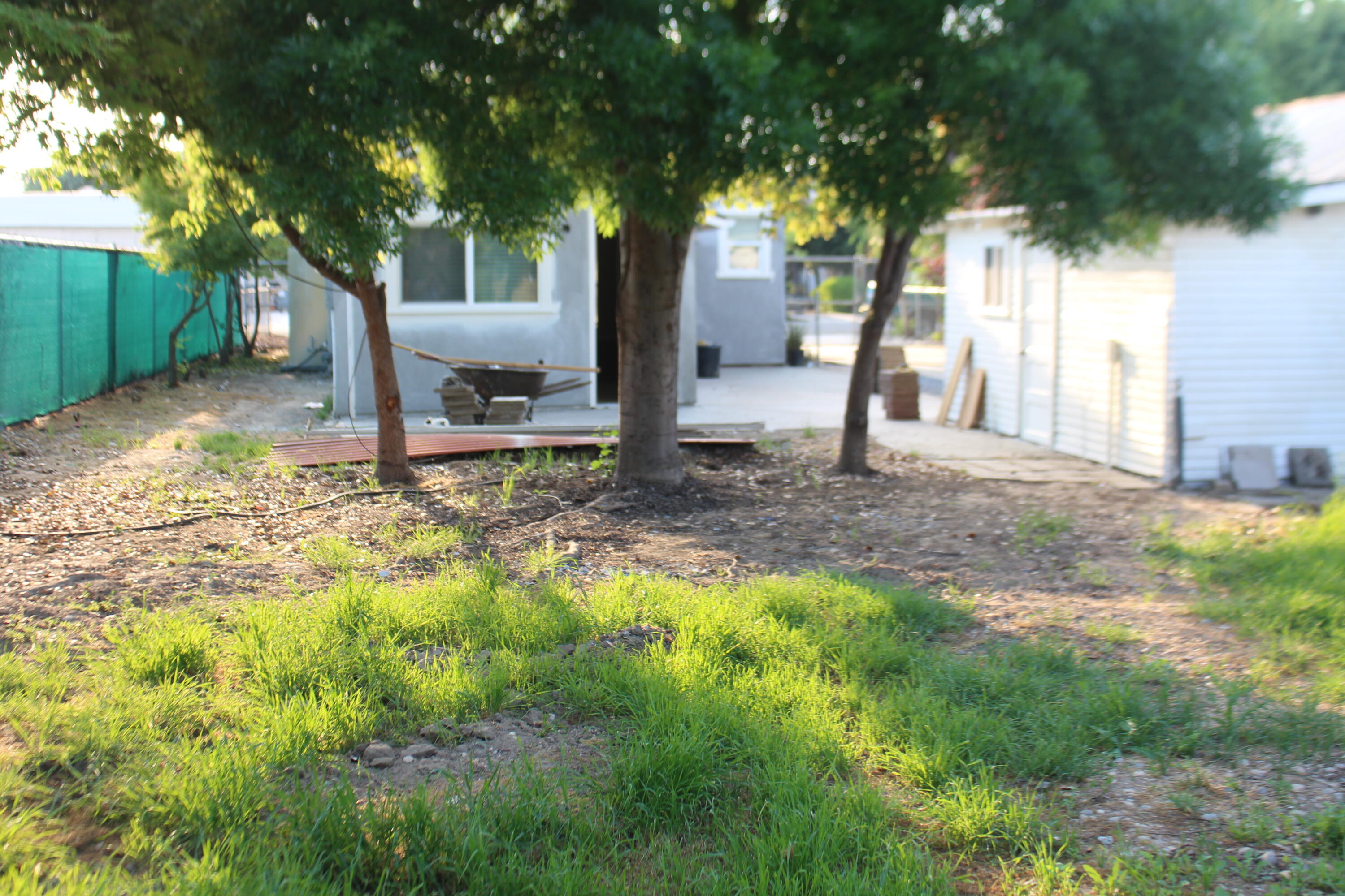 307 N Orange Ave, Exeter, CA 93221