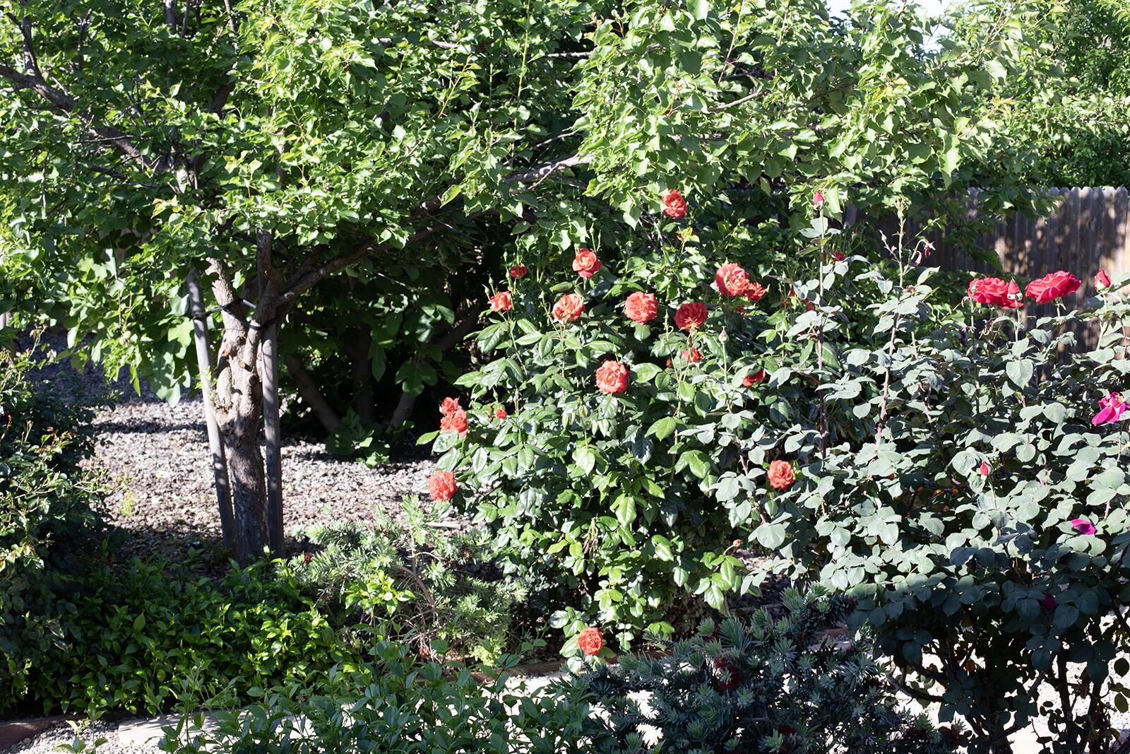 2508 N Kayenta Ct, Visalia, CA 93291