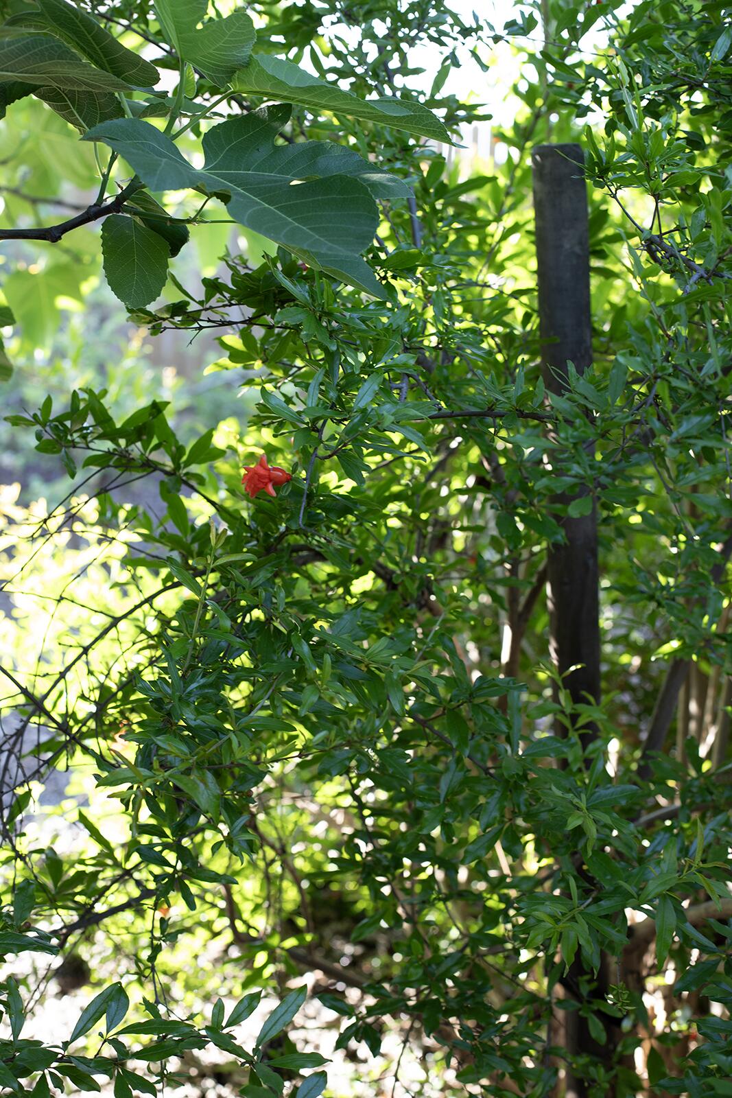 2508 N Kayenta Ct, Visalia, CA 93291