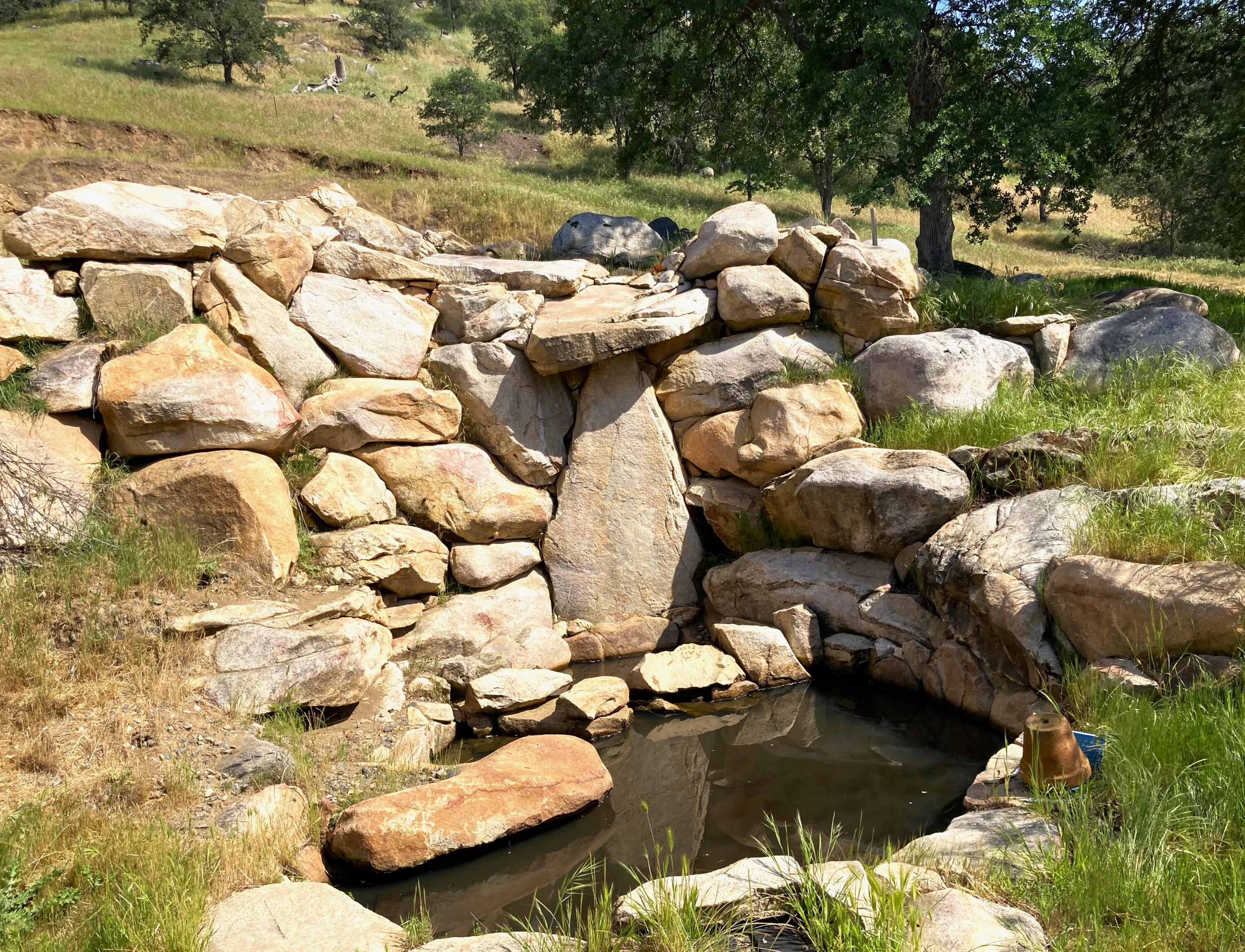 43669 Skyline Dr, Three Rivers, CA 93271