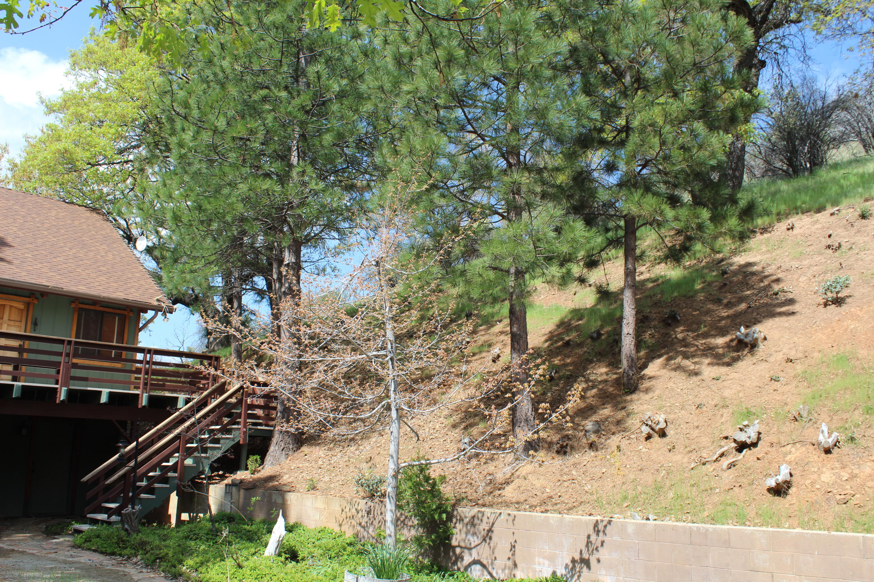 475 John Lewis Dr, Pierpoint Springs, CA 93265