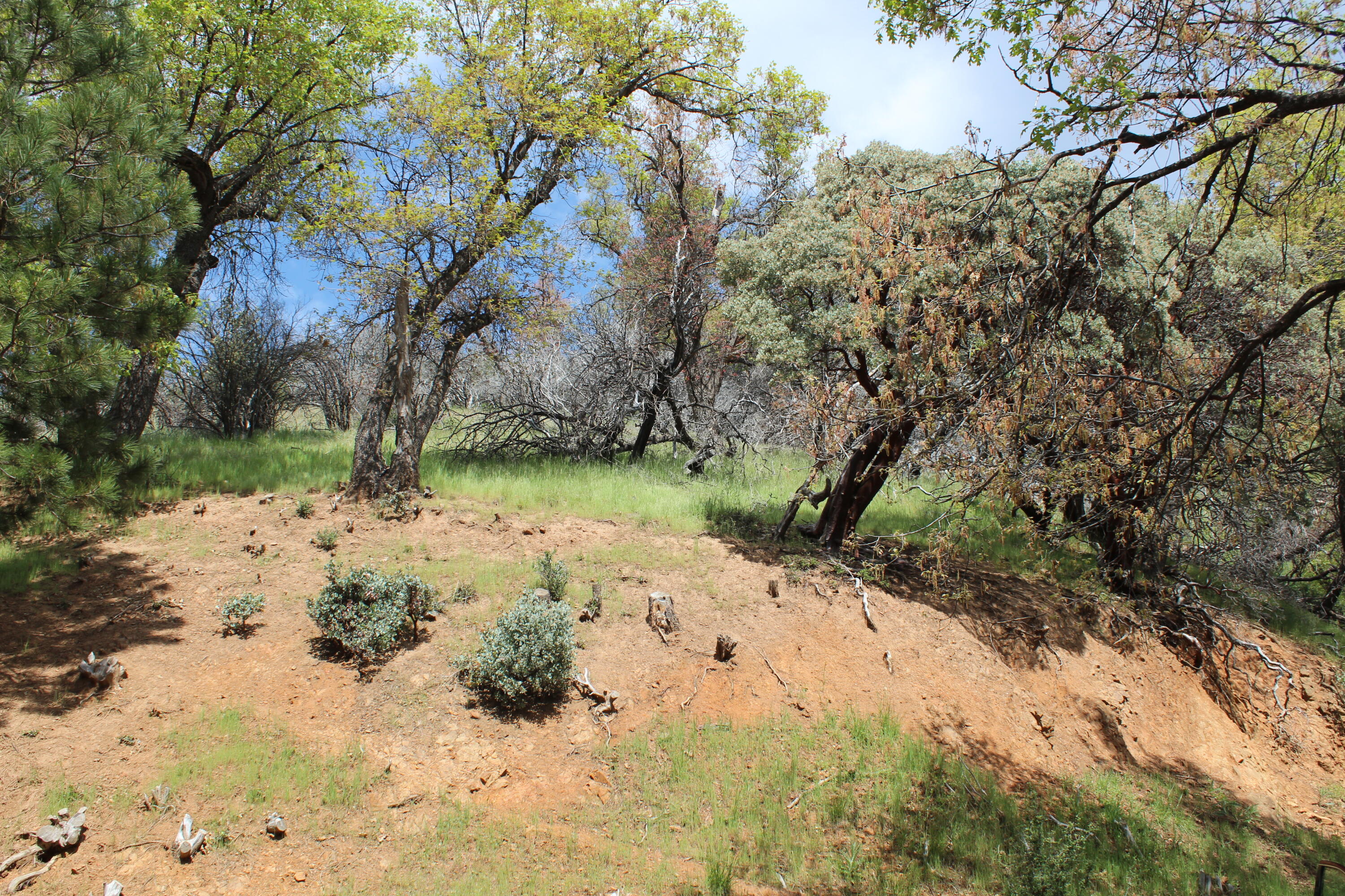 475 John Lewis Dr, Pierpoint Springs, CA 93265