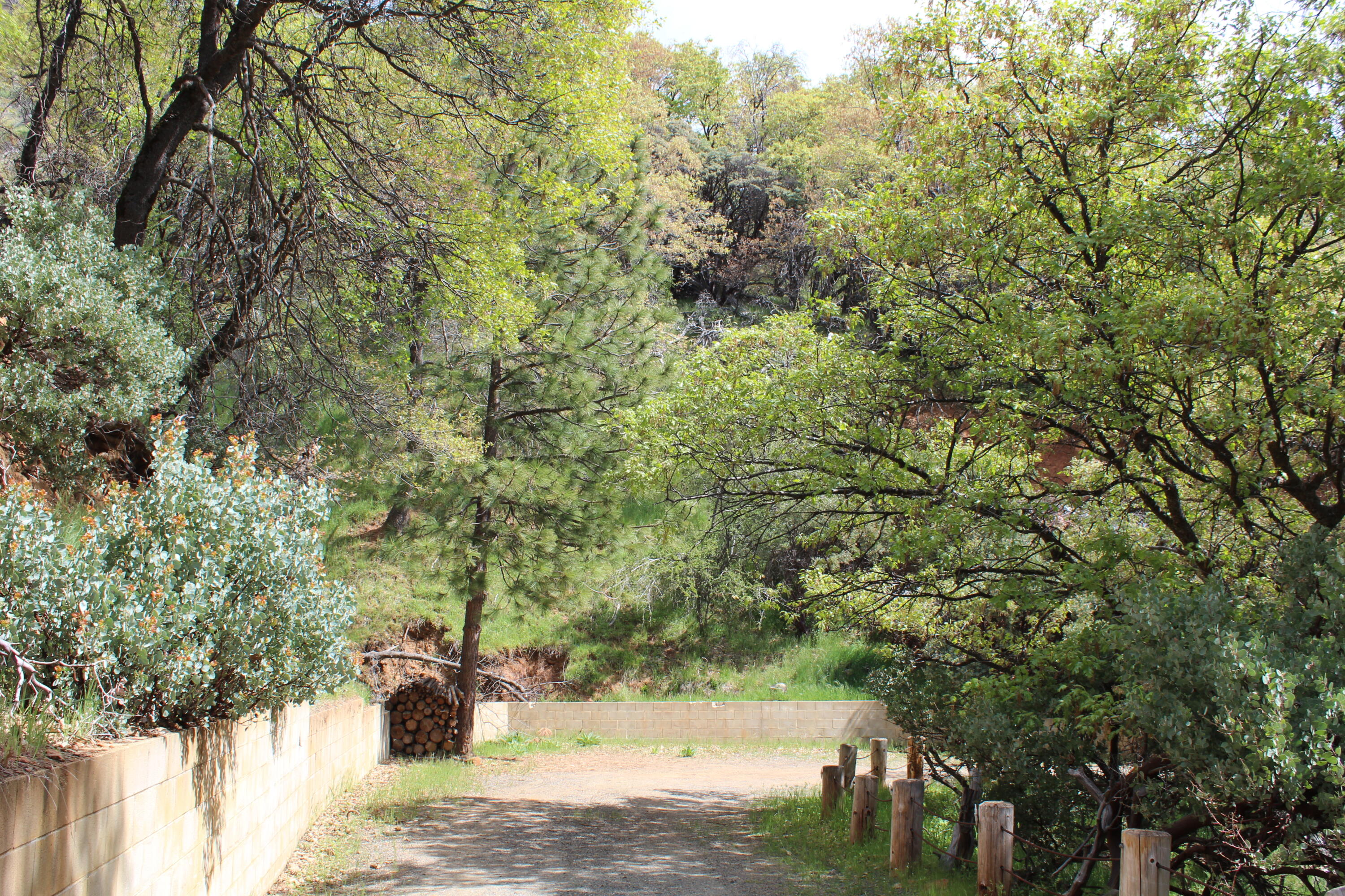 475 John Lewis Dr, Pierpoint Springs, CA 93265