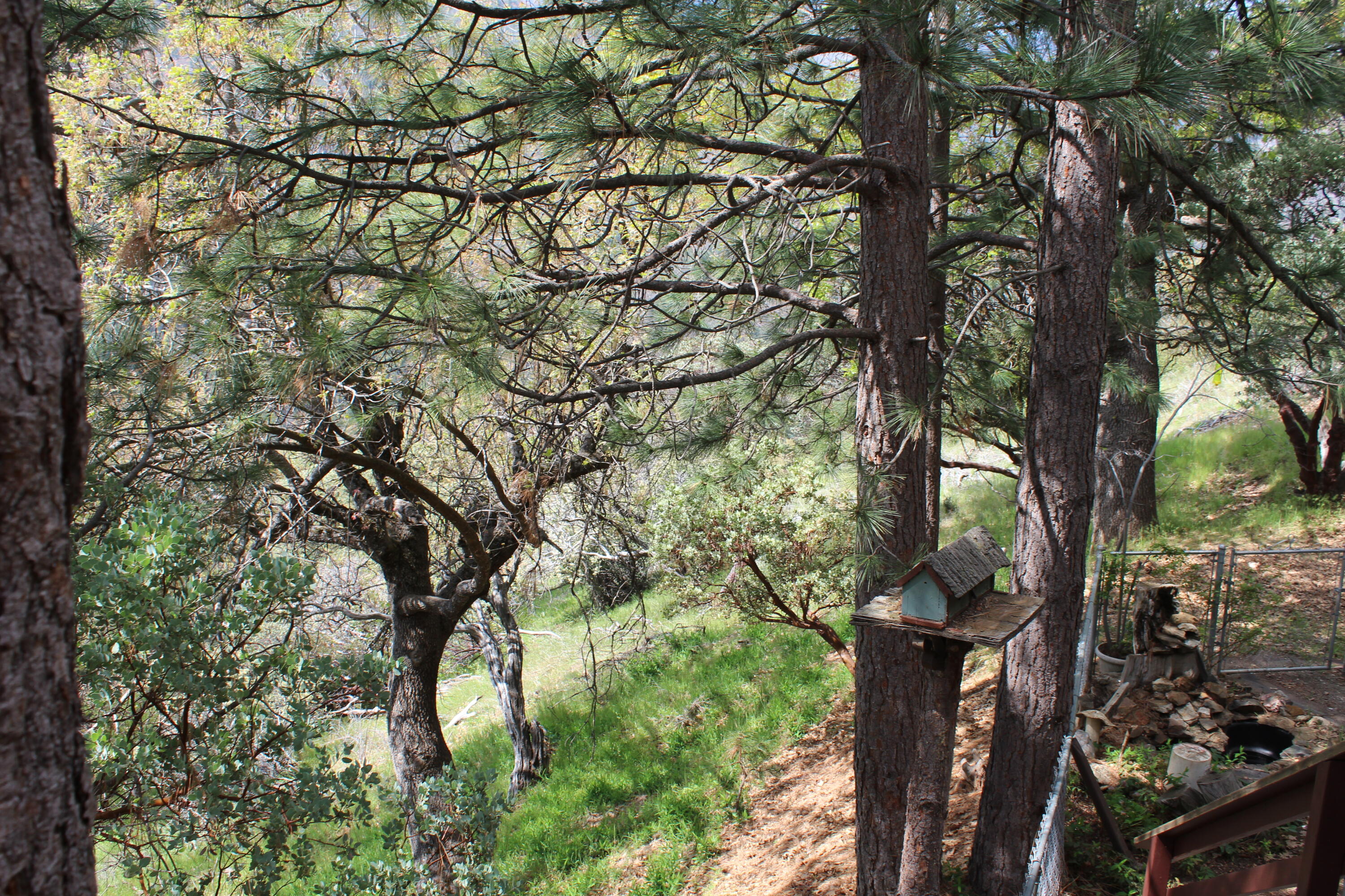 475 John Lewis Dr, Pierpoint Springs, CA 93265