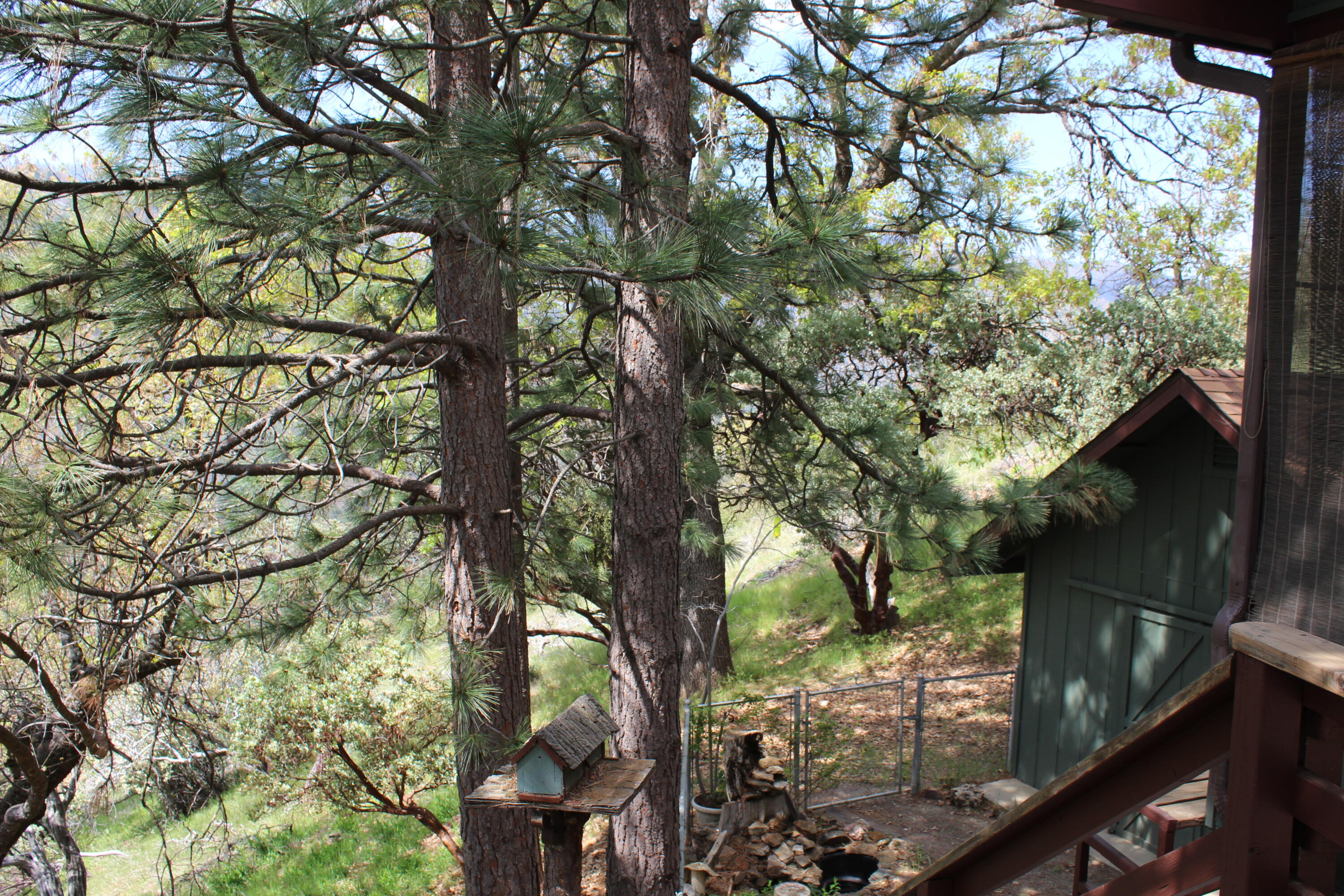 475 John Lewis Dr, Pierpoint Springs, CA 93265