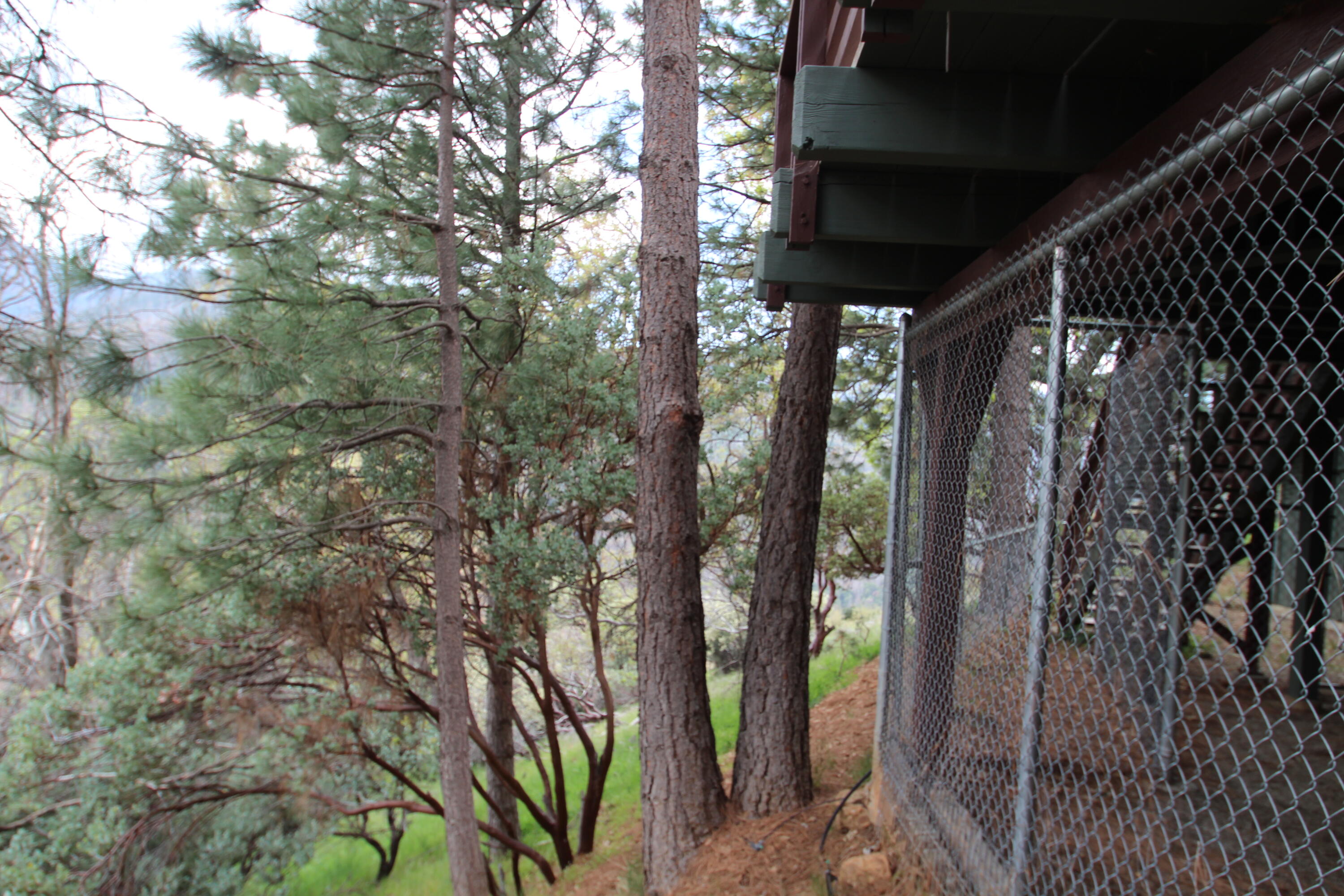 475 John Lewis Dr, Pierpoint Springs, CA 93265