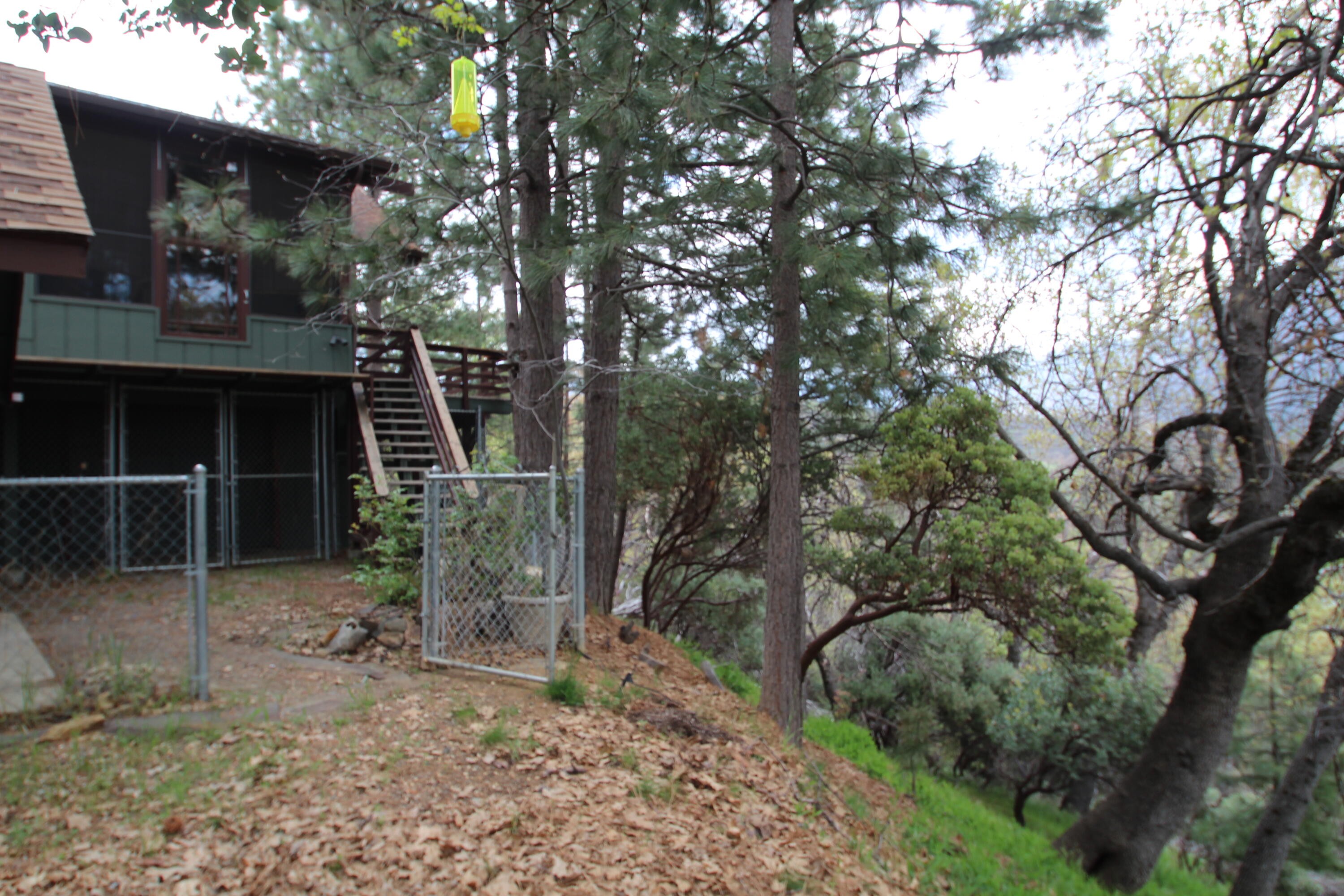 475 John Lewis Dr, Pierpoint Springs, CA 93265