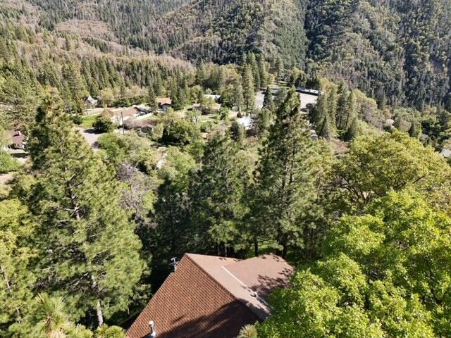 475 John Lewis Dr, Pierpoint Springs, CA 93265