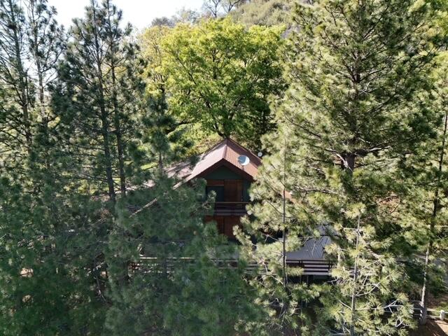 475 John Lewis Dr, Pierpoint Springs, CA 93265