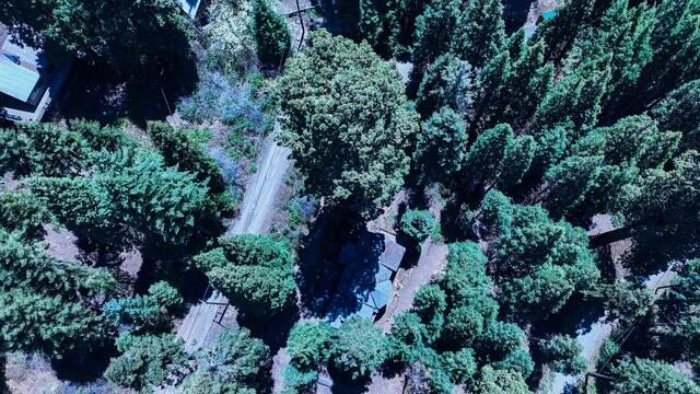 54838 Ponderosa Dr, Springville, CA 93265