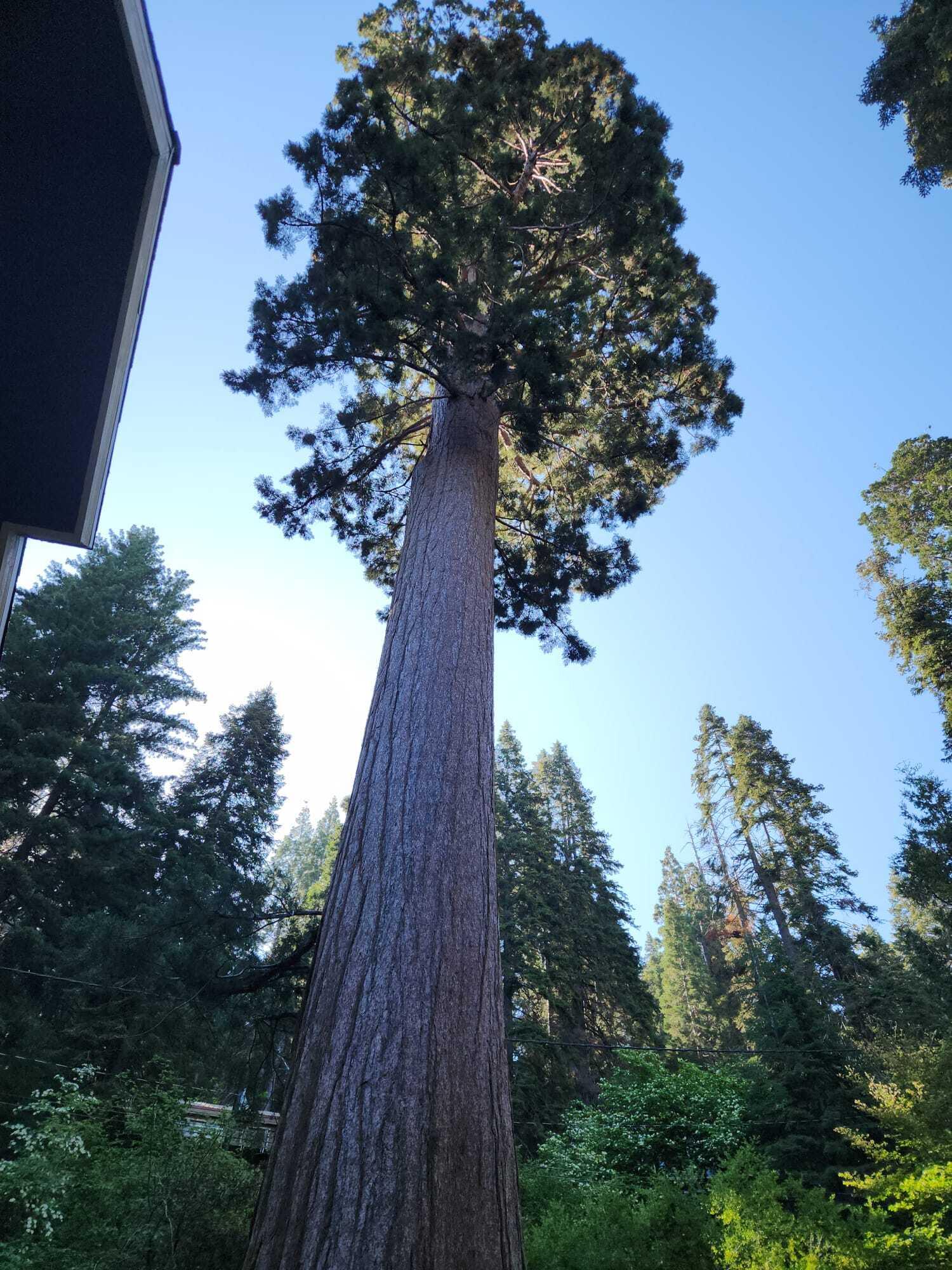 54838 Ponderosa Dr, Springville, CA 93265