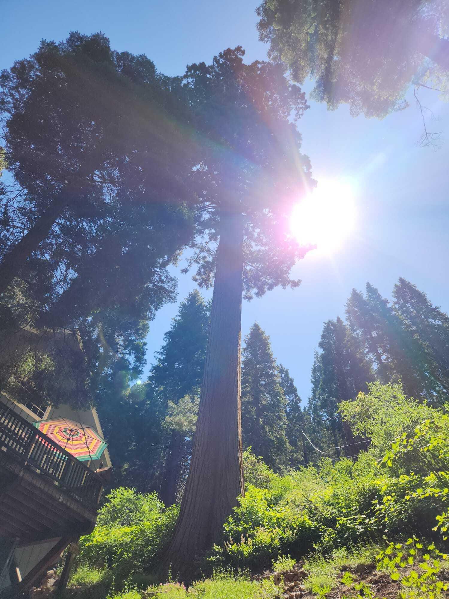 54838 Ponderosa Dr, Springville, CA 93265