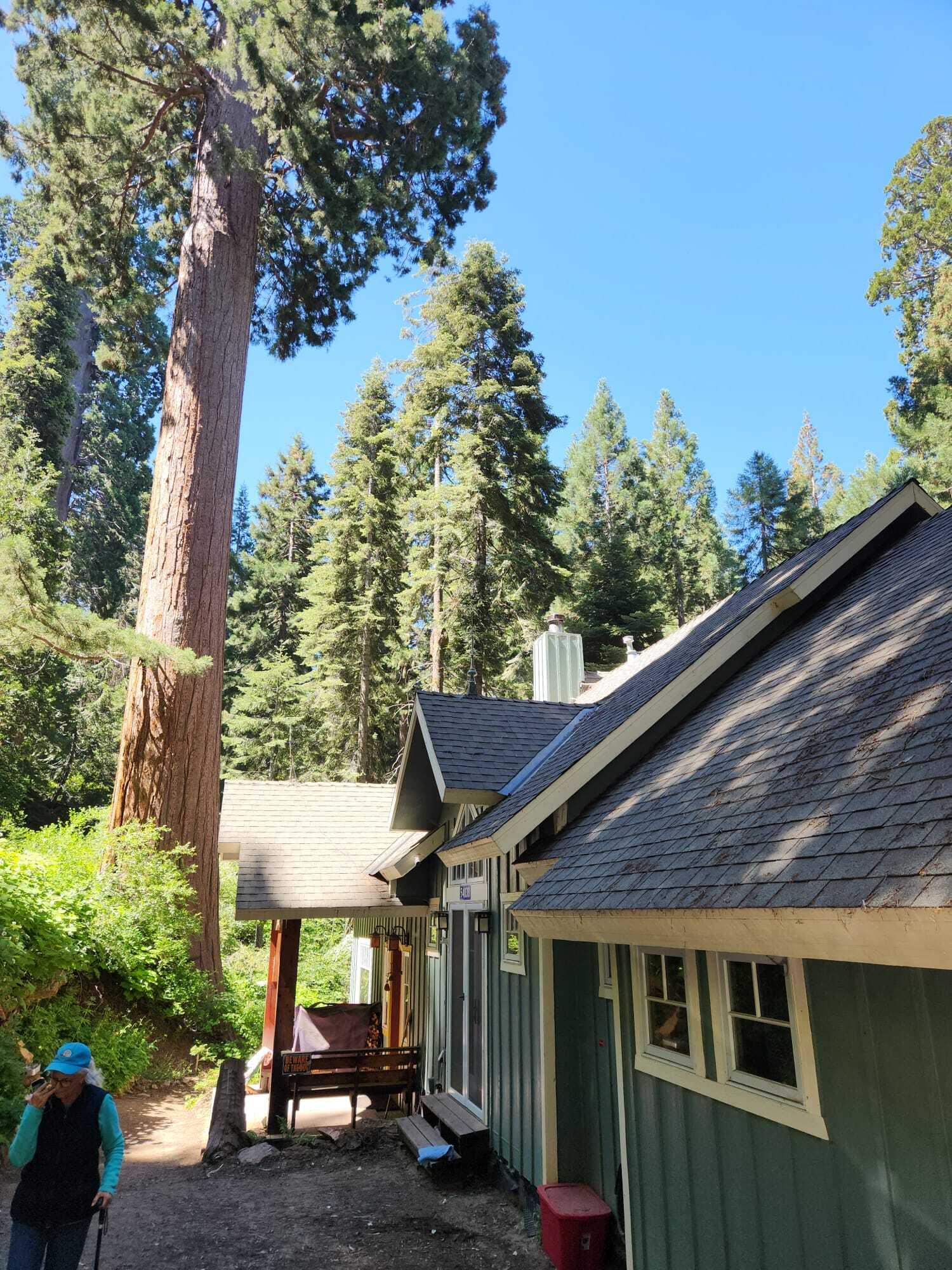 54838 Ponderosa Dr, Springville, CA 93265