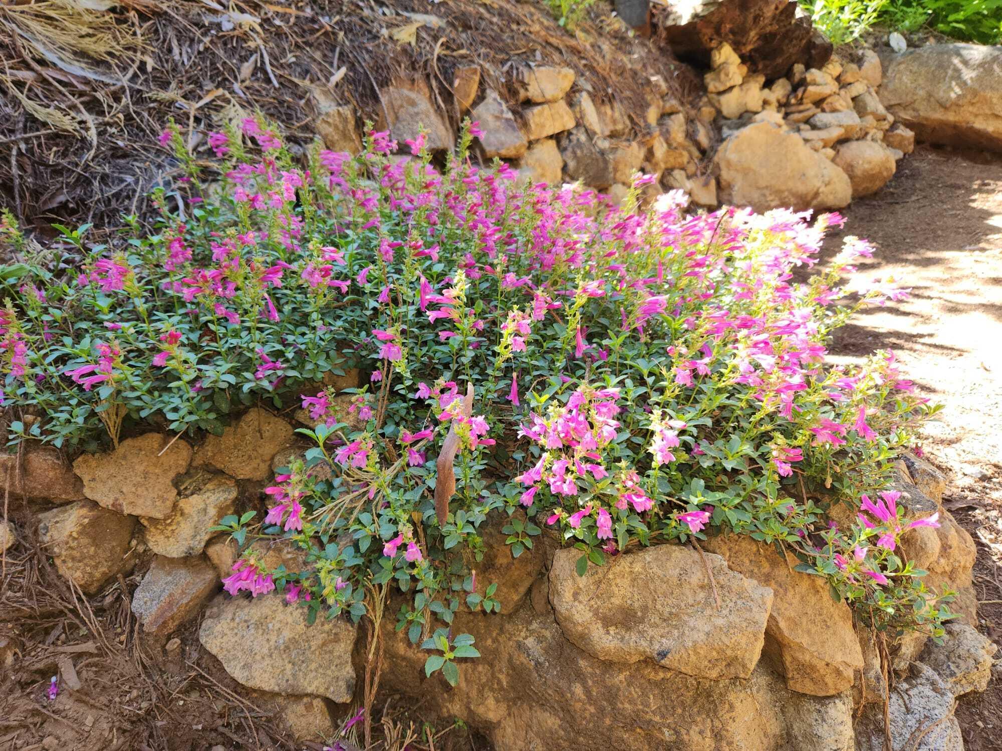 54838 Ponderosa Dr, Springville, CA 93265