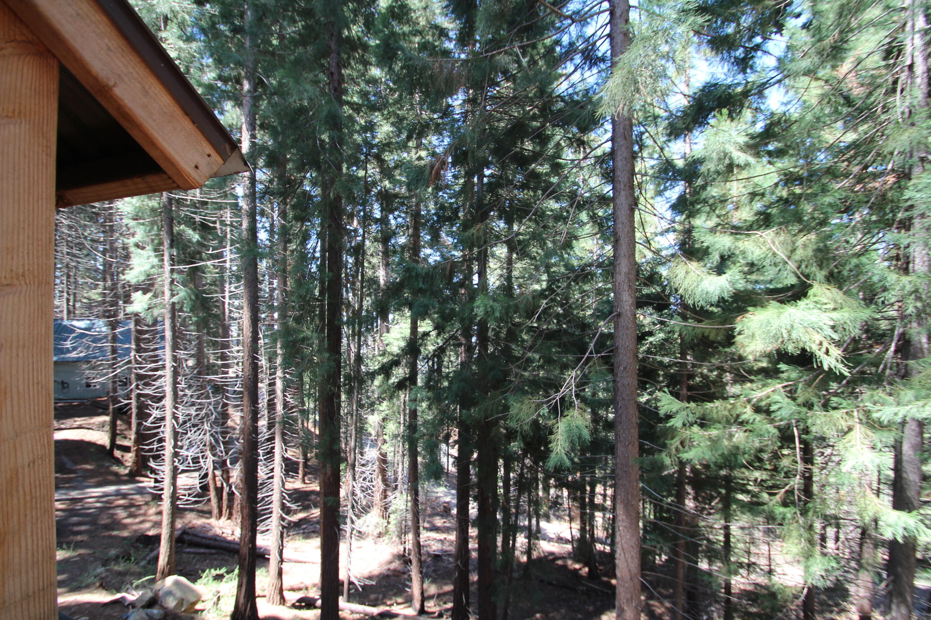 54838 Ponderosa Dr, Springville, CA 93265