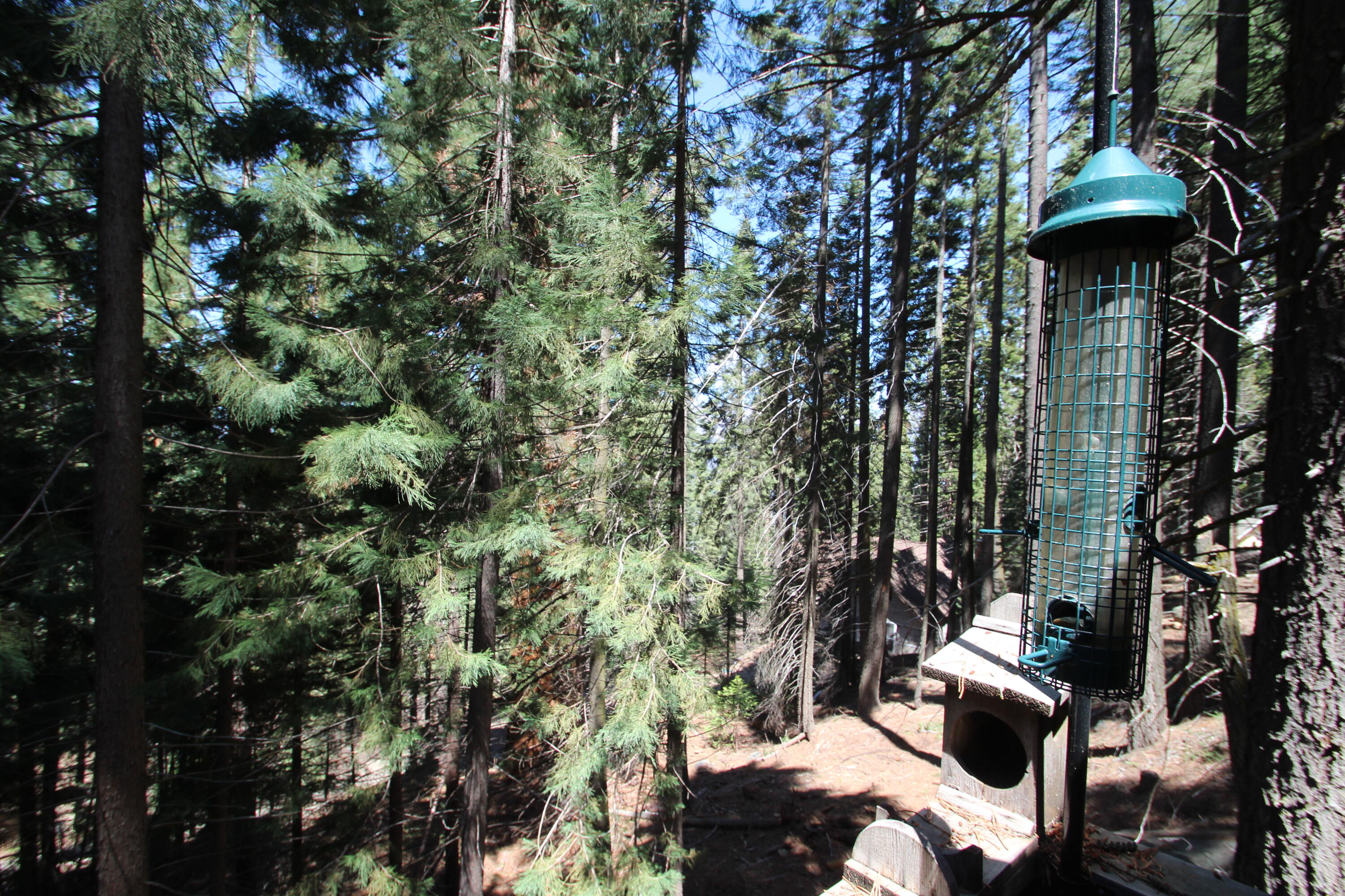 54838 Ponderosa Dr, Springville, CA 93265