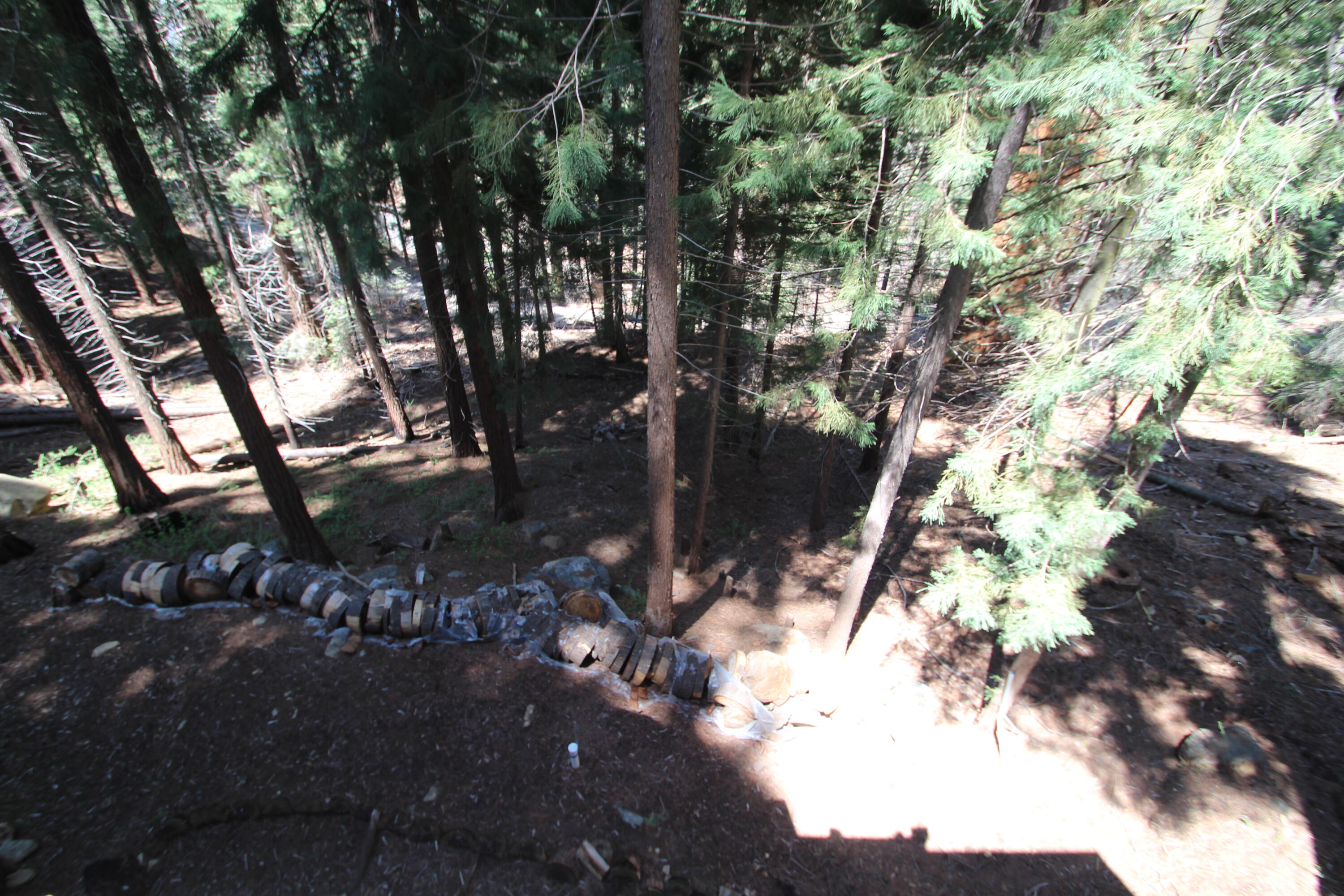 54838 Ponderosa Dr, Springville, CA 93265