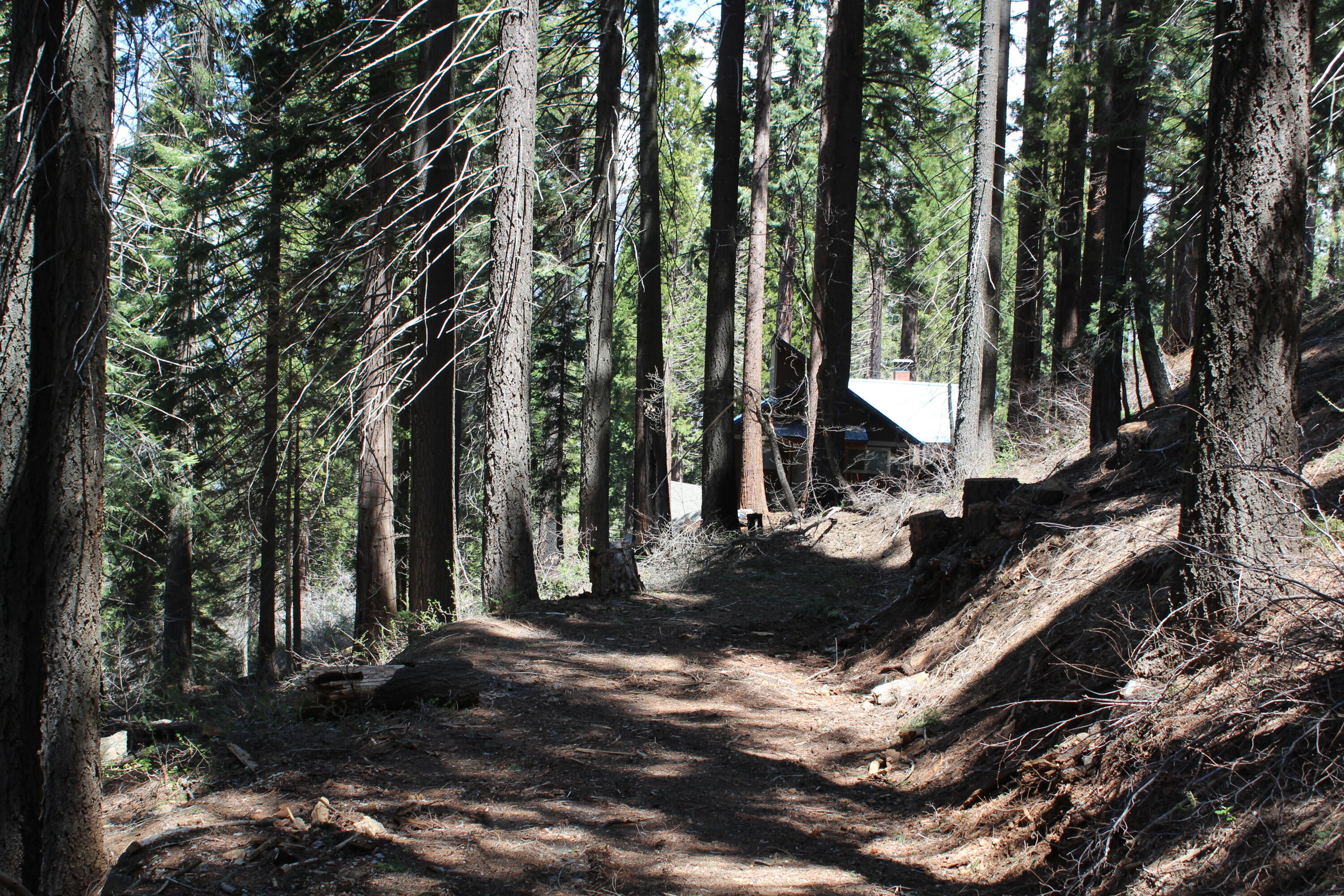 54838 Ponderosa Dr, Springville, CA 93265