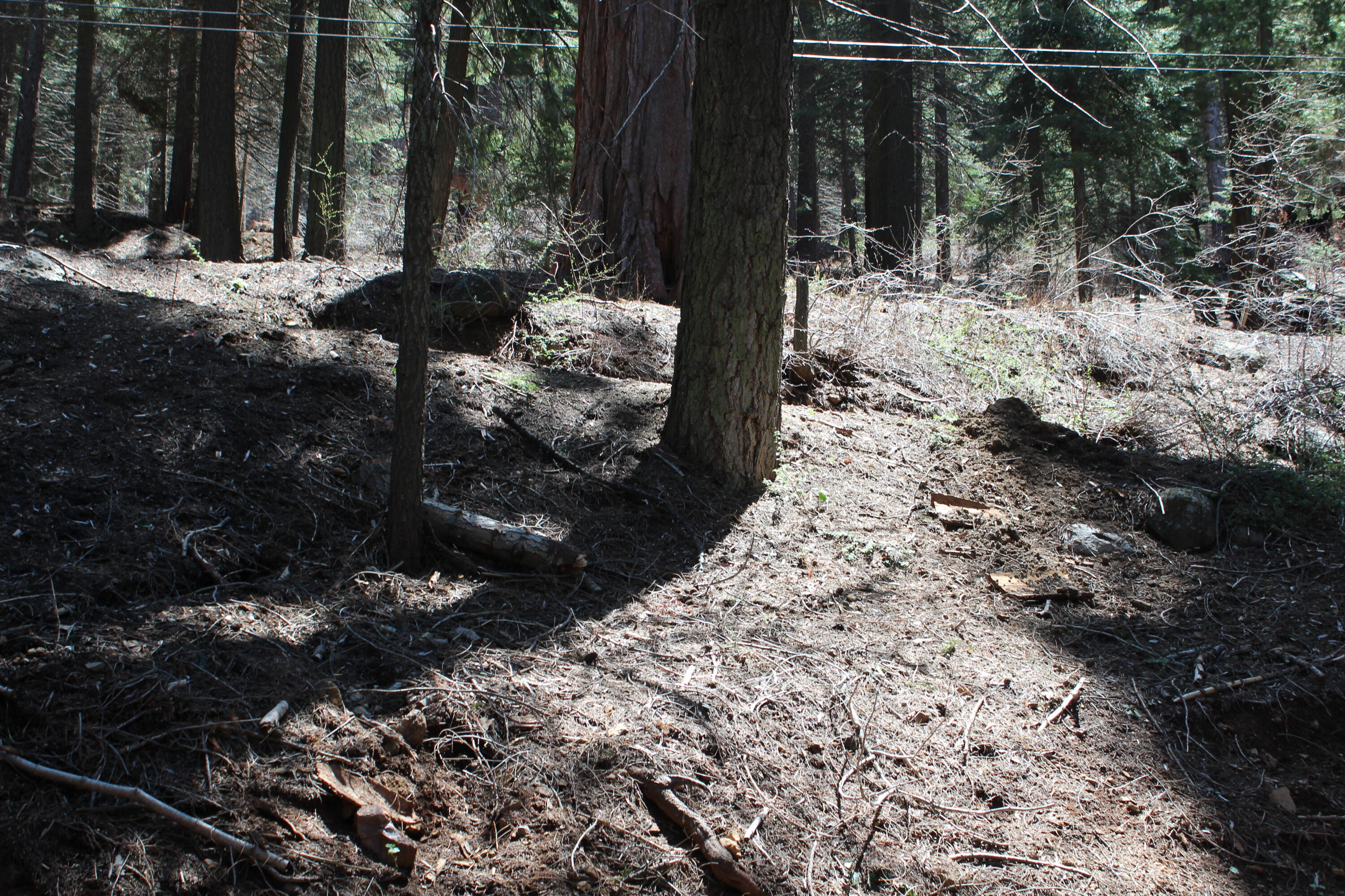 54838 Ponderosa Dr, Springville, CA 93265