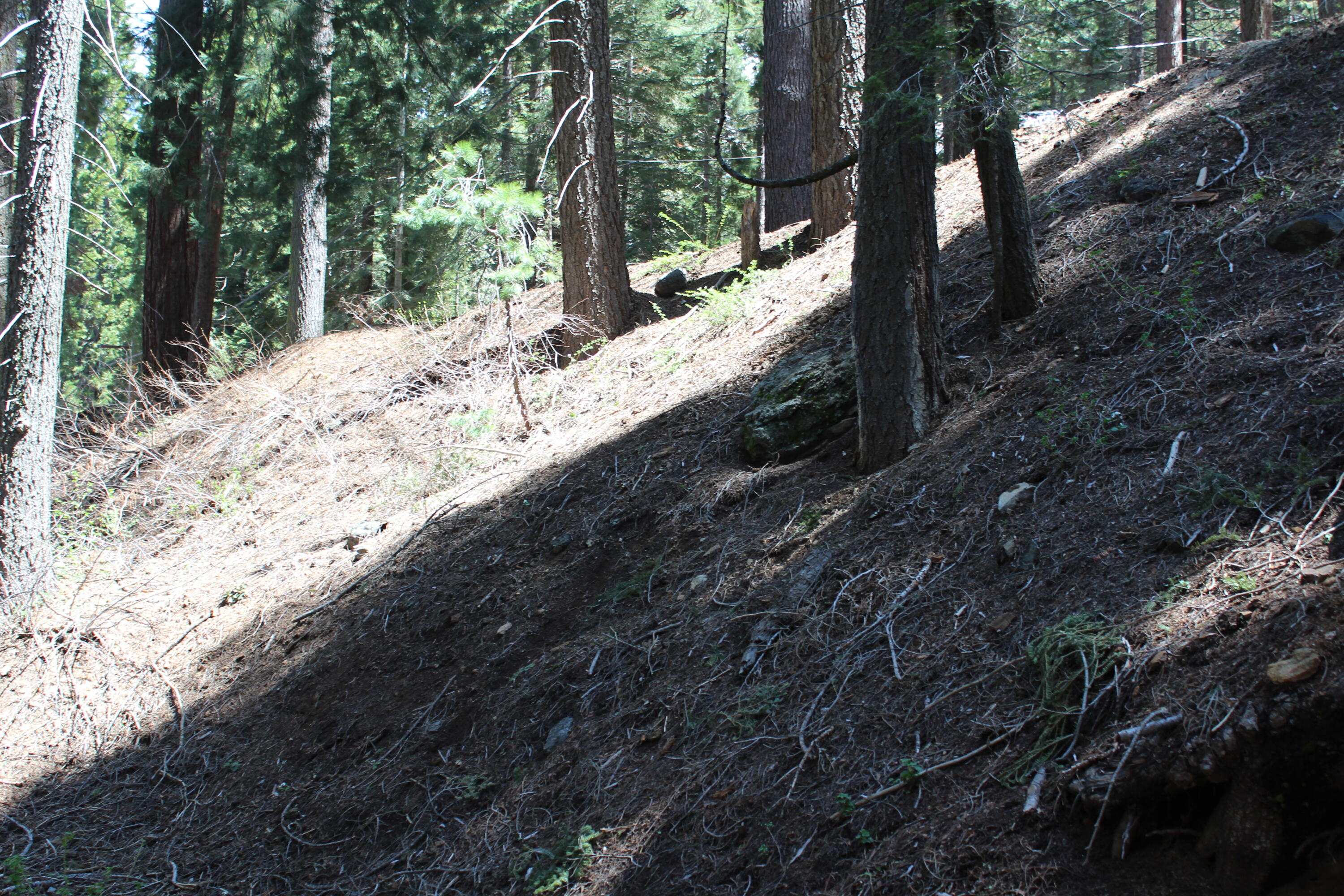 54838 Ponderosa Dr, Springville, CA 93265