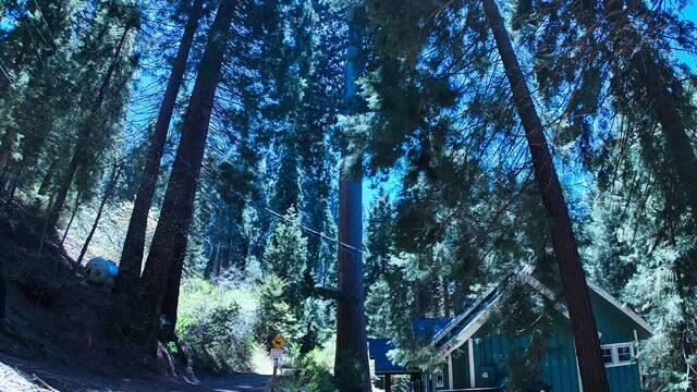 54838 Ponderosa Dr, Springville, CA 93265