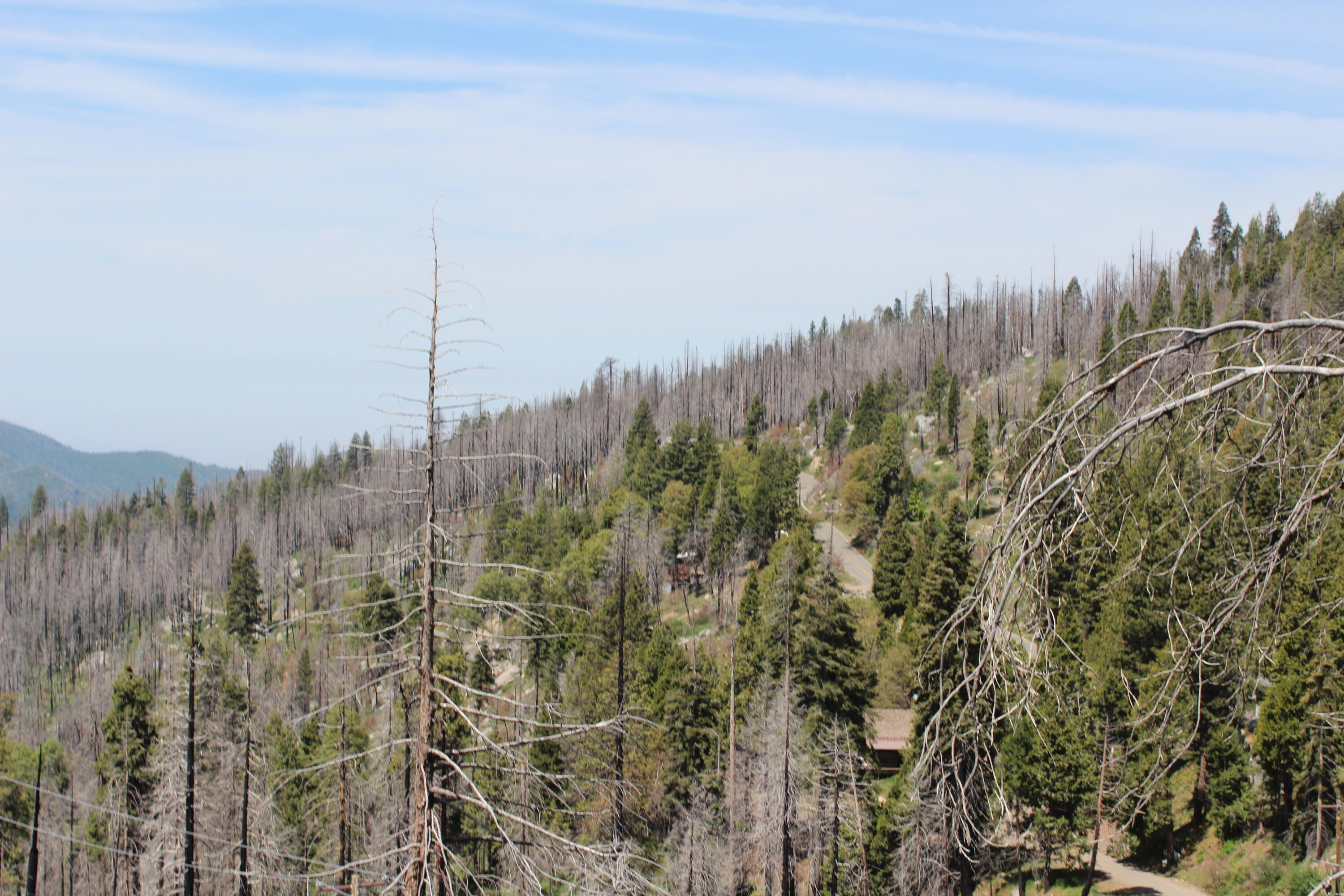 53184 Pine View Dr, Springville, CA 93265