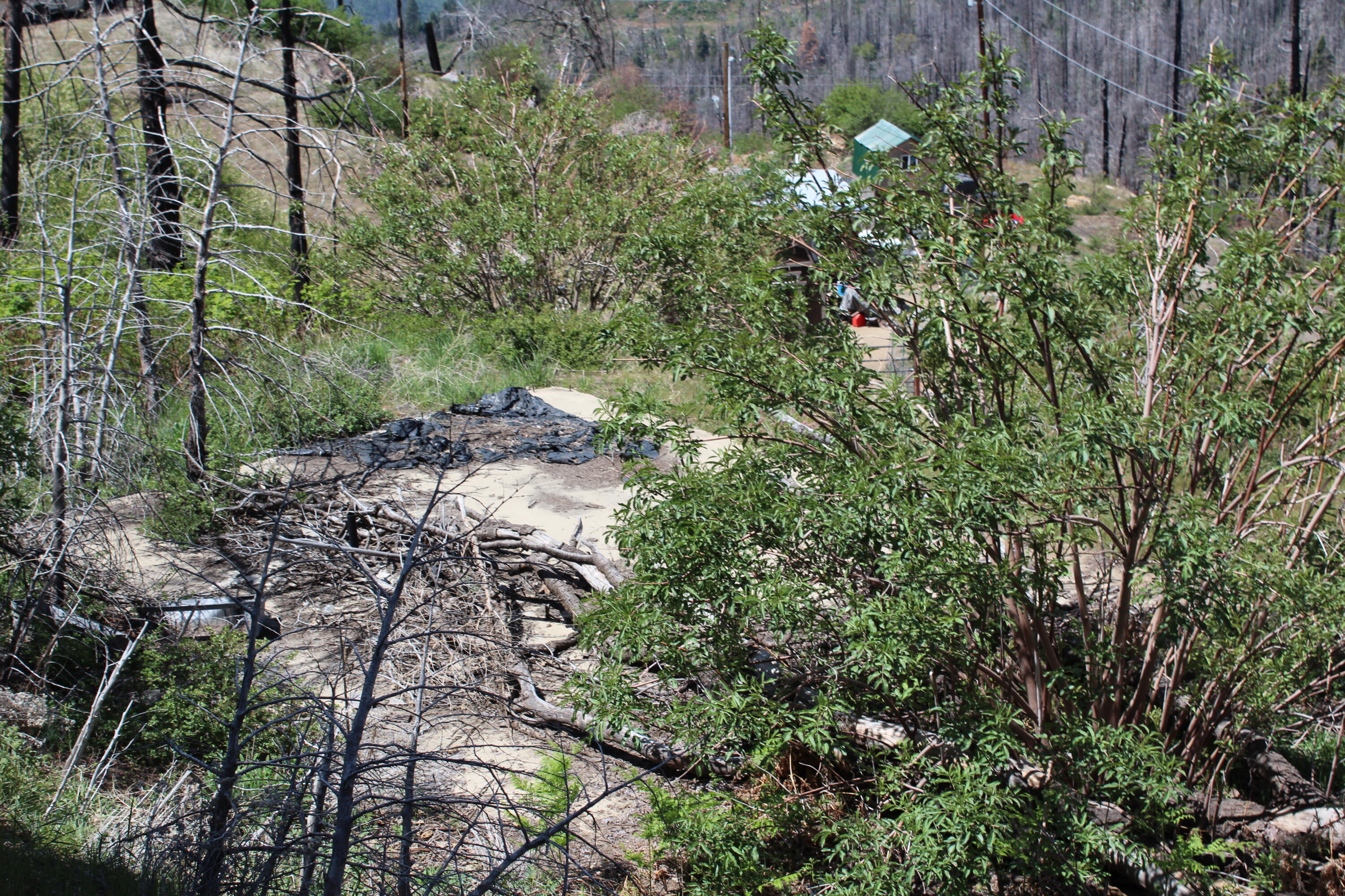 53184 Pine View Dr, Springville, CA 93265