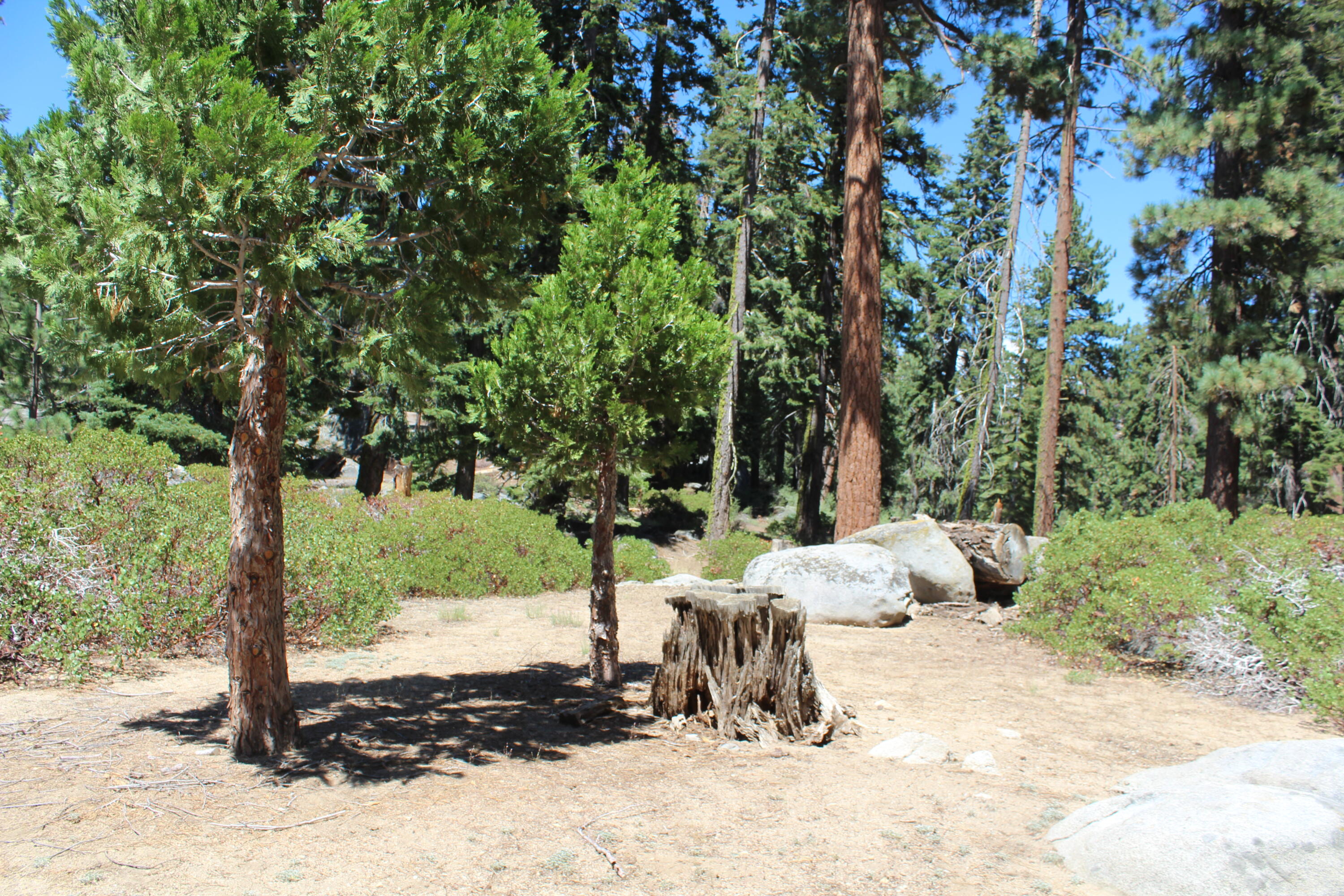 57941 Summit Dr, Ponderosa, CA 93265