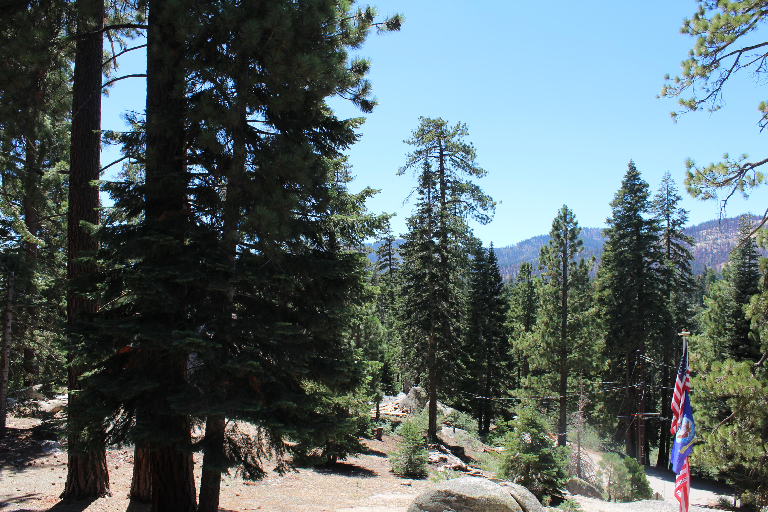 57941 Summit Dr, Ponderosa, CA 93265