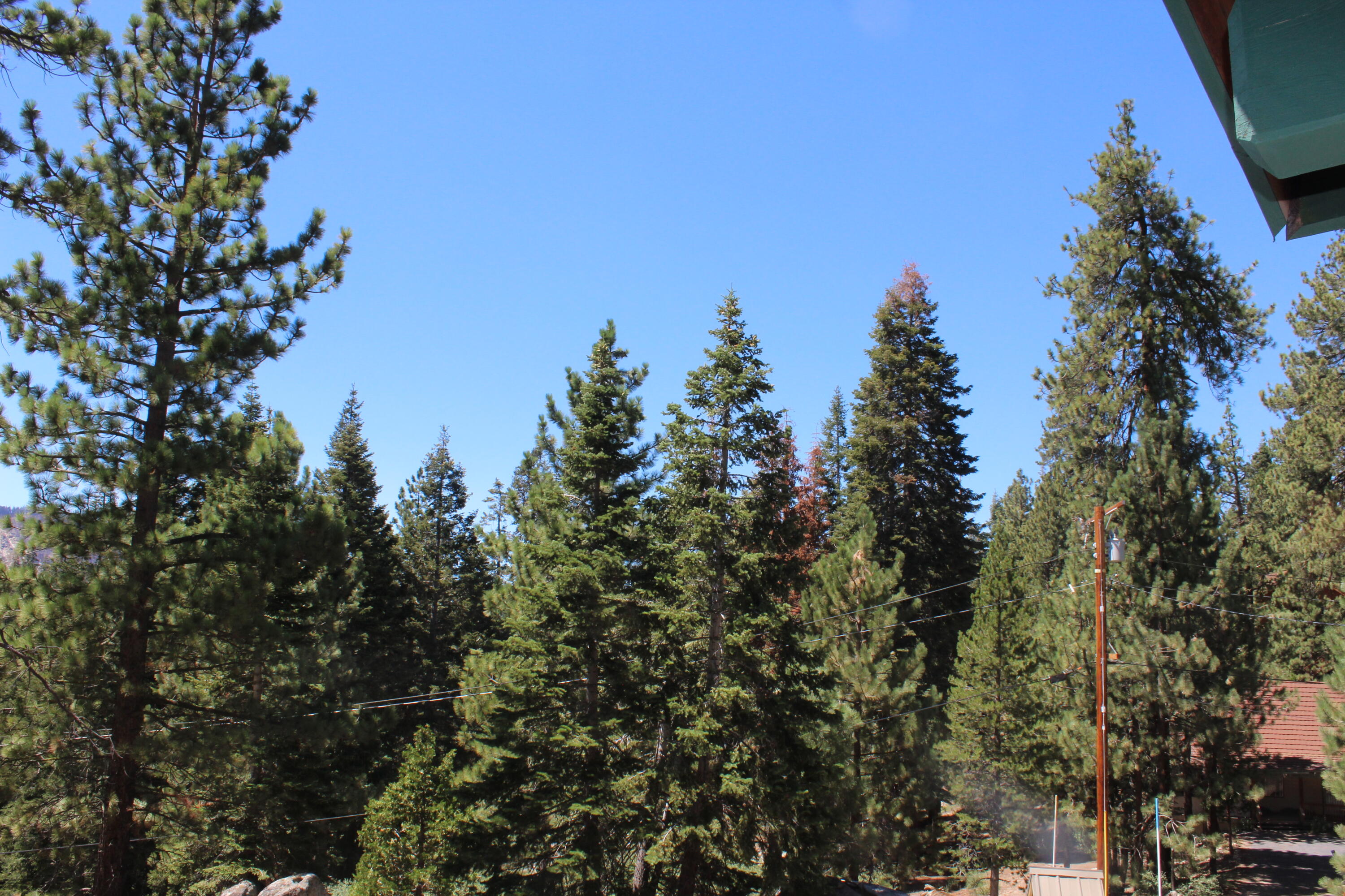 57941 Summit Dr, Ponderosa, CA 93265