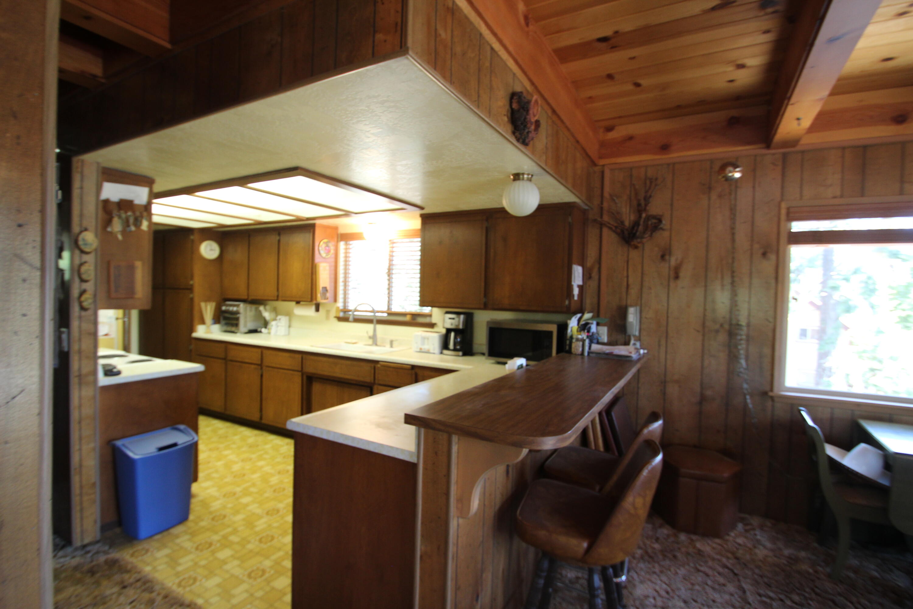 57941 Summit Dr, Ponderosa, CA 93265