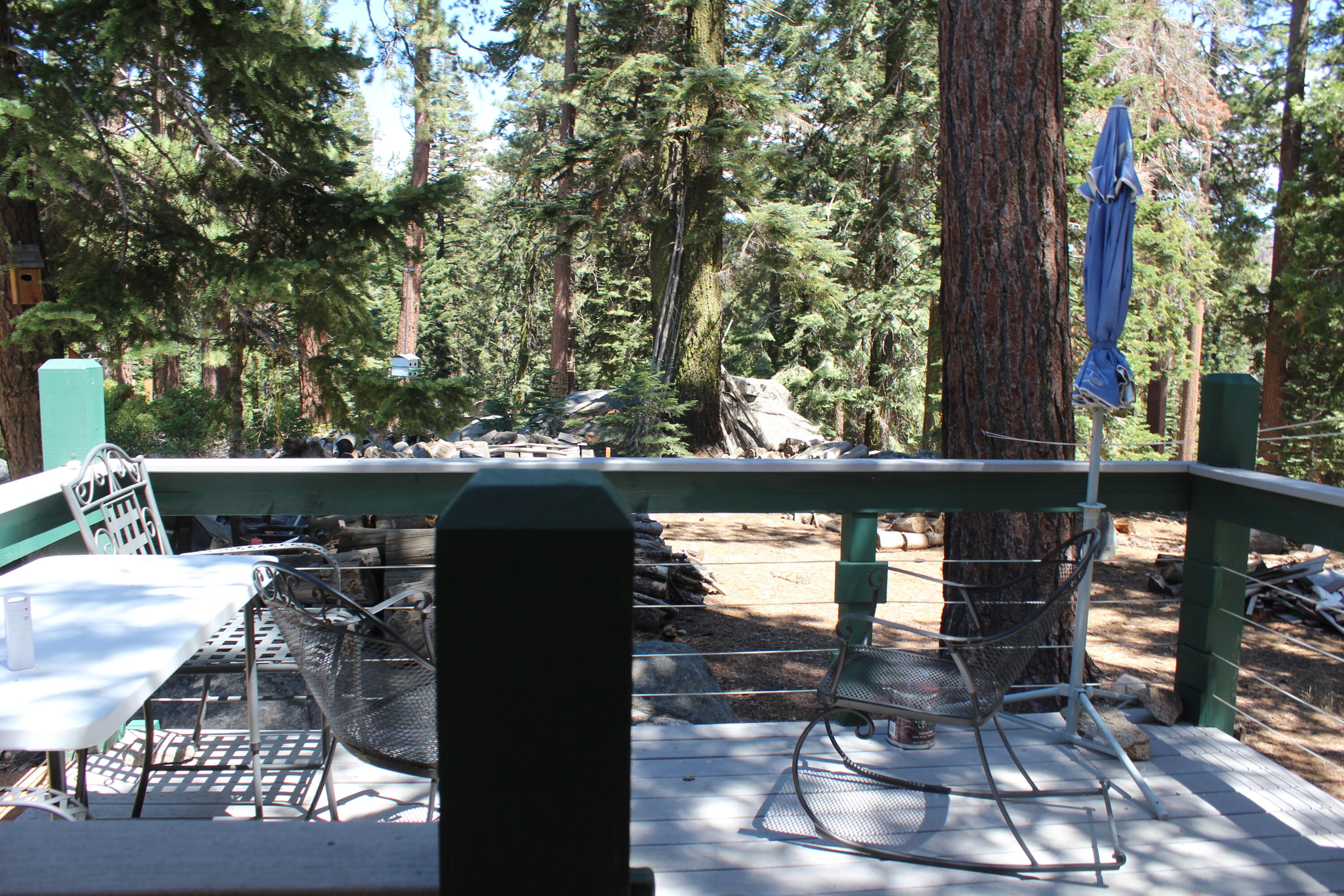 57941 Summit Dr, Ponderosa, CA 93265