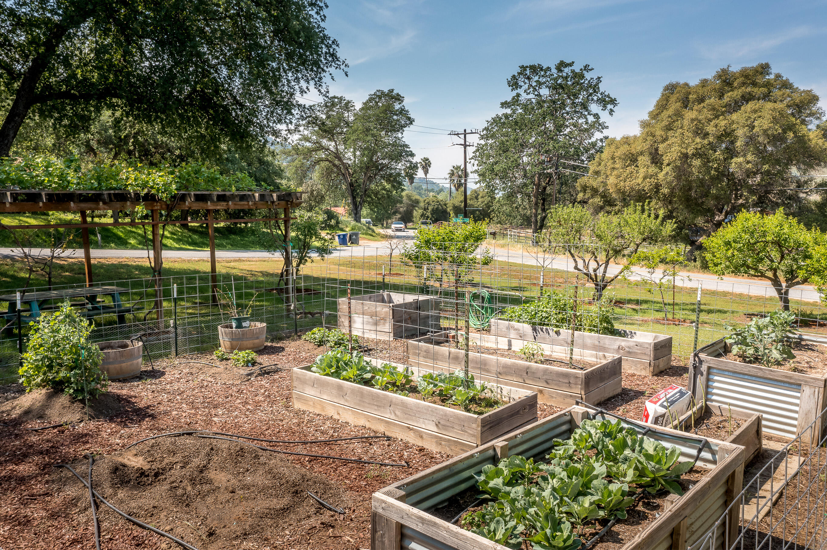 40926 Old Three Rivers Rd, Three Rivers, CA 93271