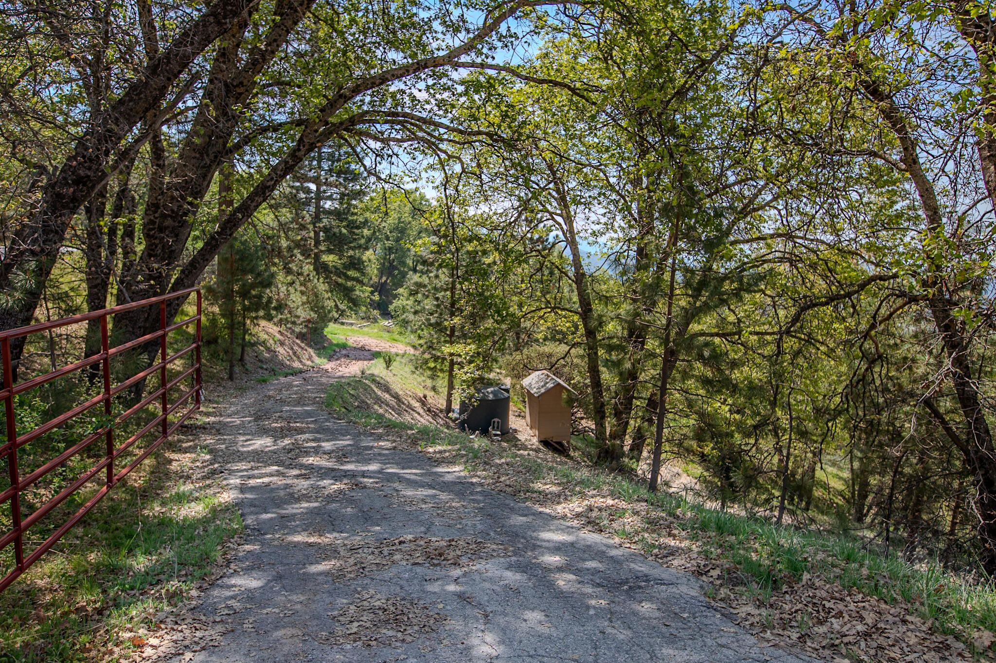 52865 N Highway 245, Miramonte, CA 93641
