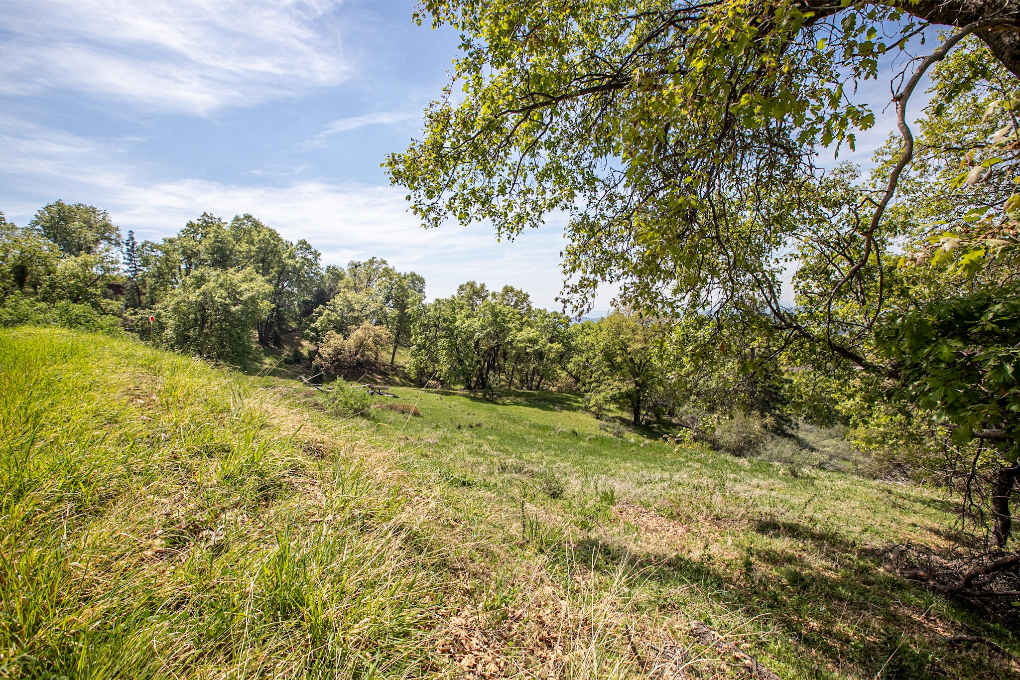 52865 N Highway 245, Miramonte, CA 93641