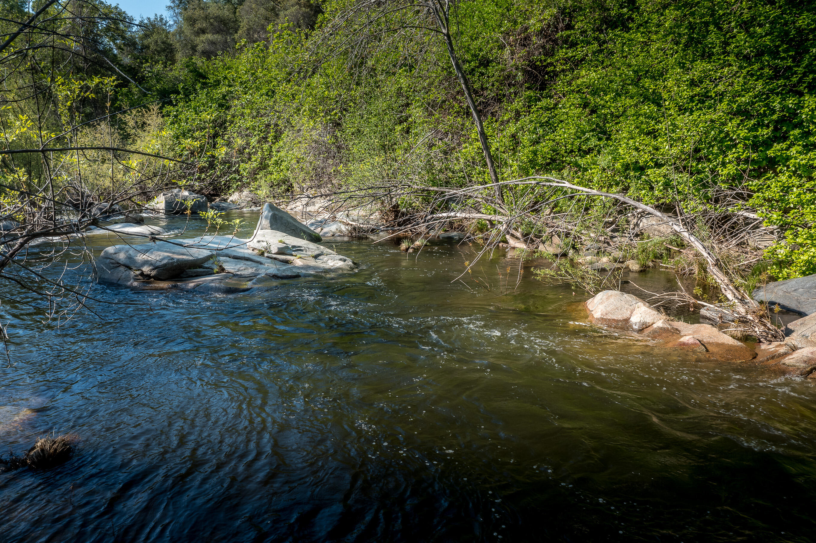 44335 North Fork, Three Rivers, CA 93271