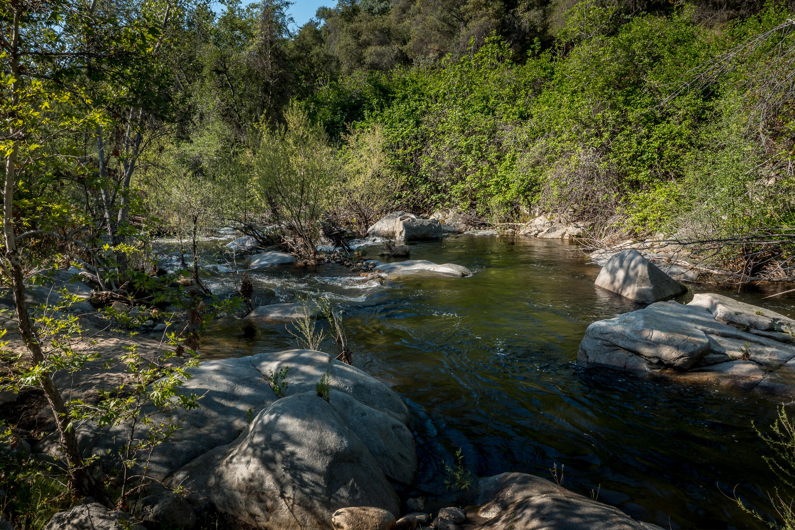 44335 North Fork, Three Rivers, CA 93271