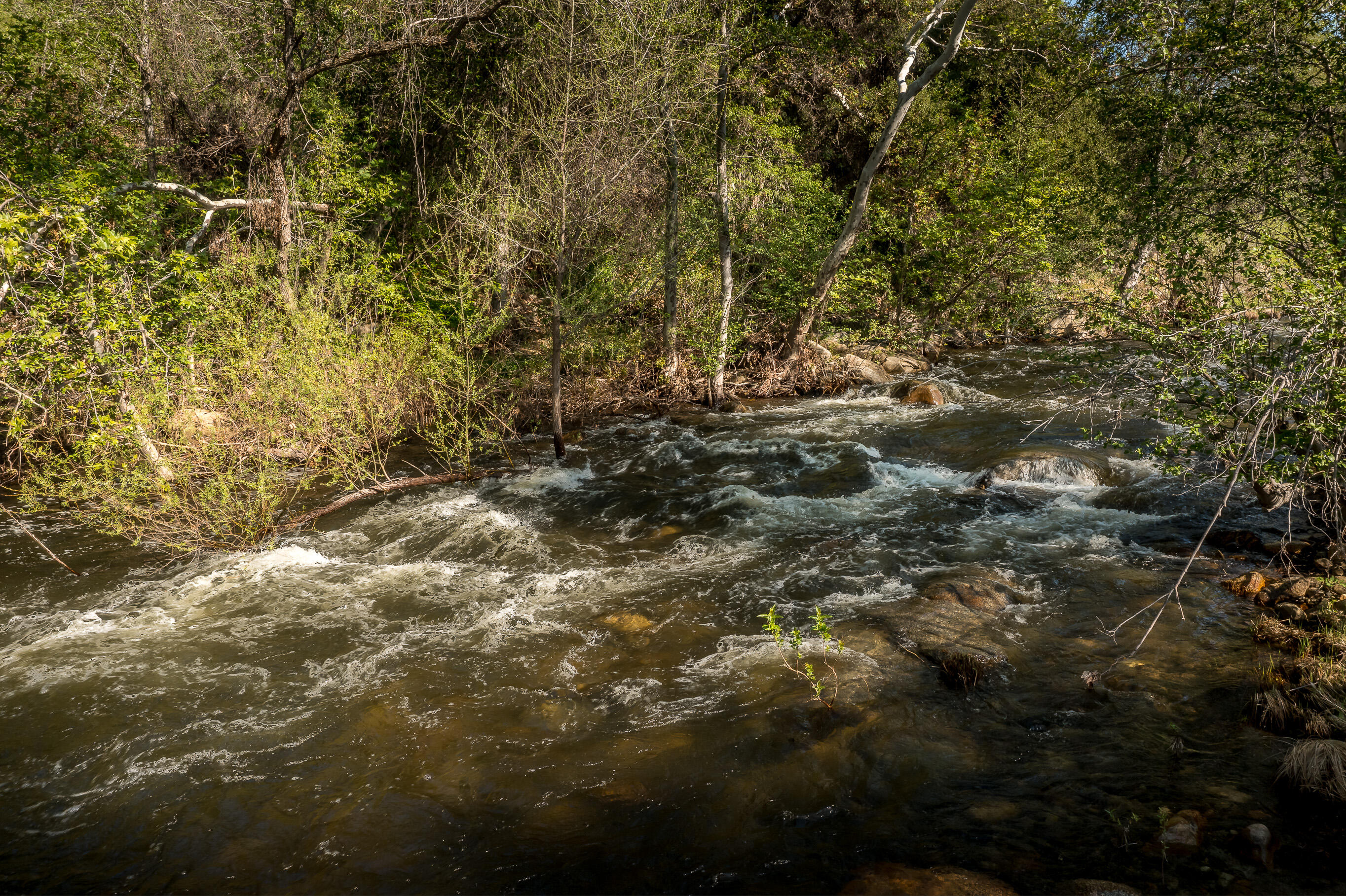 44335 North Fork, Three Rivers, CA 93271