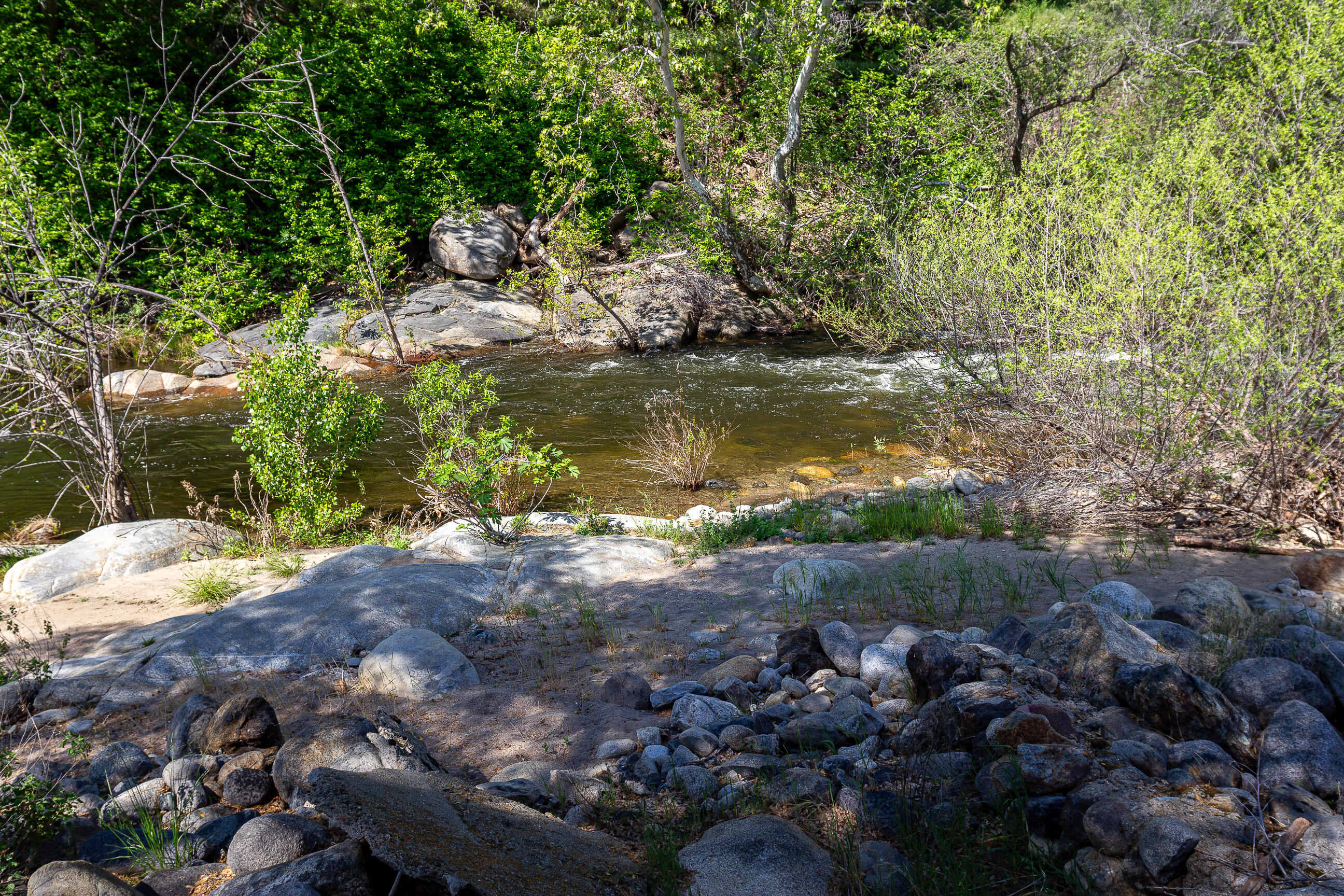 44335 North Fork, Three Rivers, CA 93271